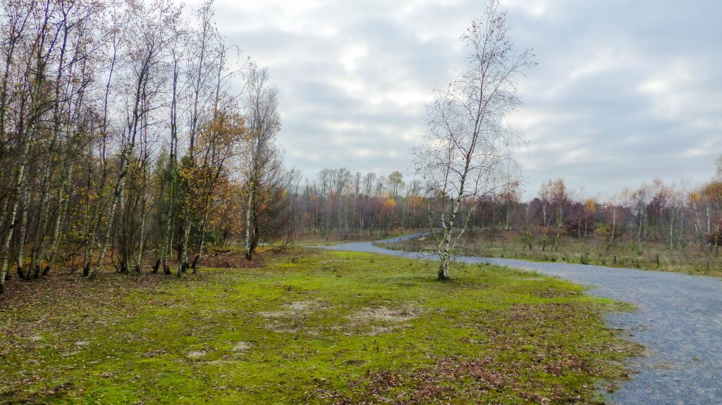 Aangenaam wandelen door het Rot