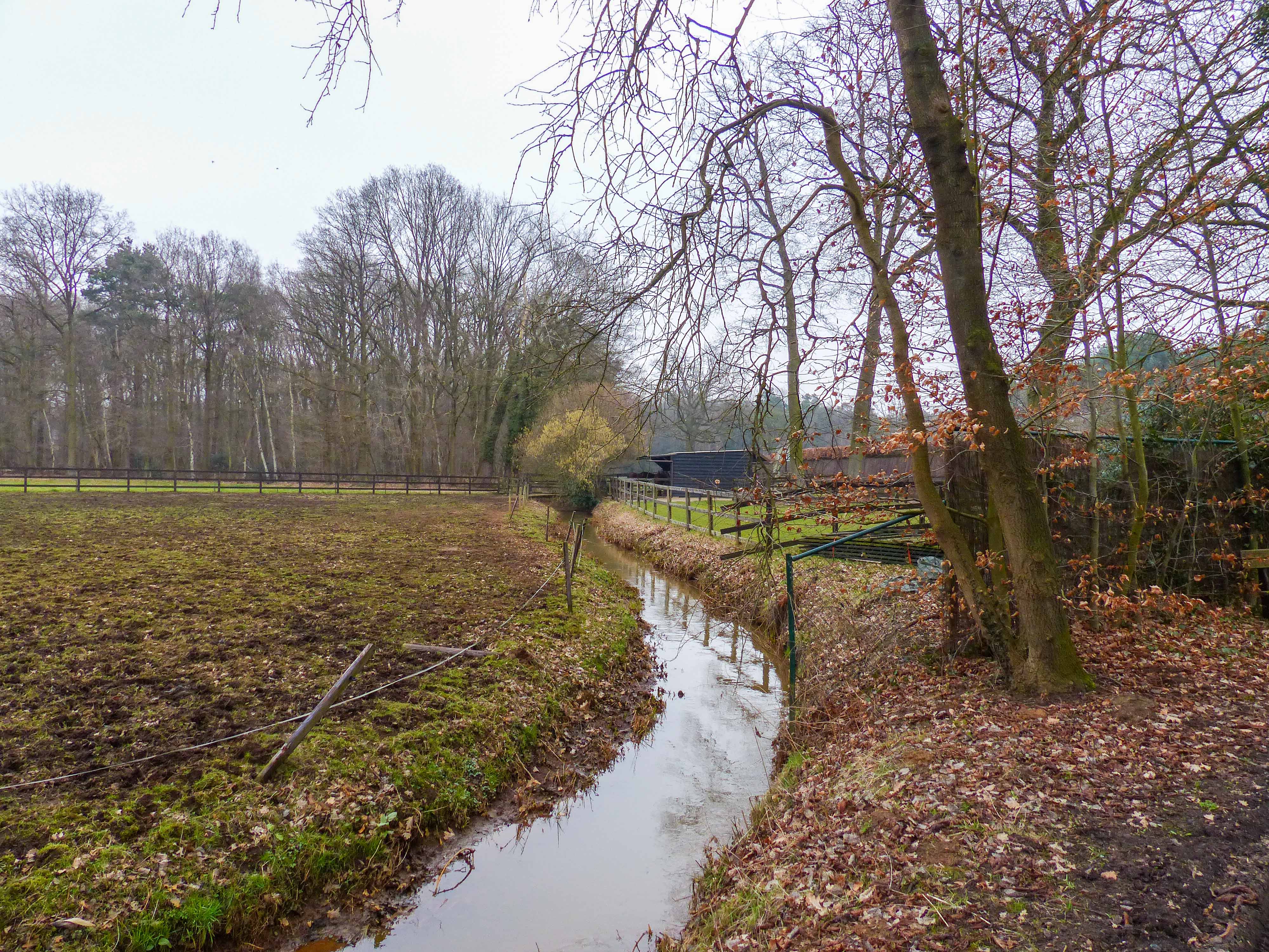 Door de vallei van het Groot Schijn : Schilde - Oelegem - Vrieselhof (10 km)