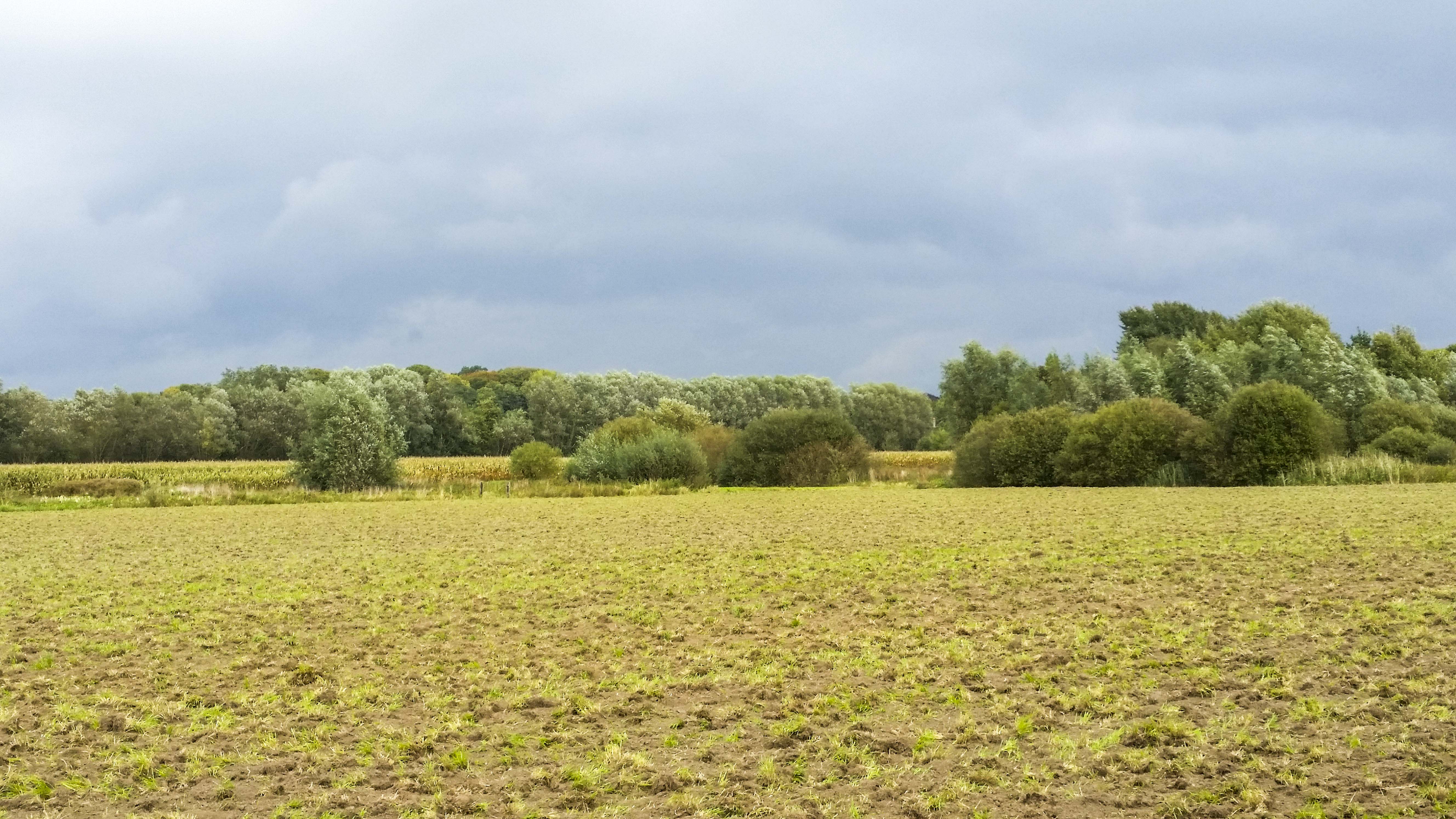 Wandeling doorheen De Damvallei ( 7 km)