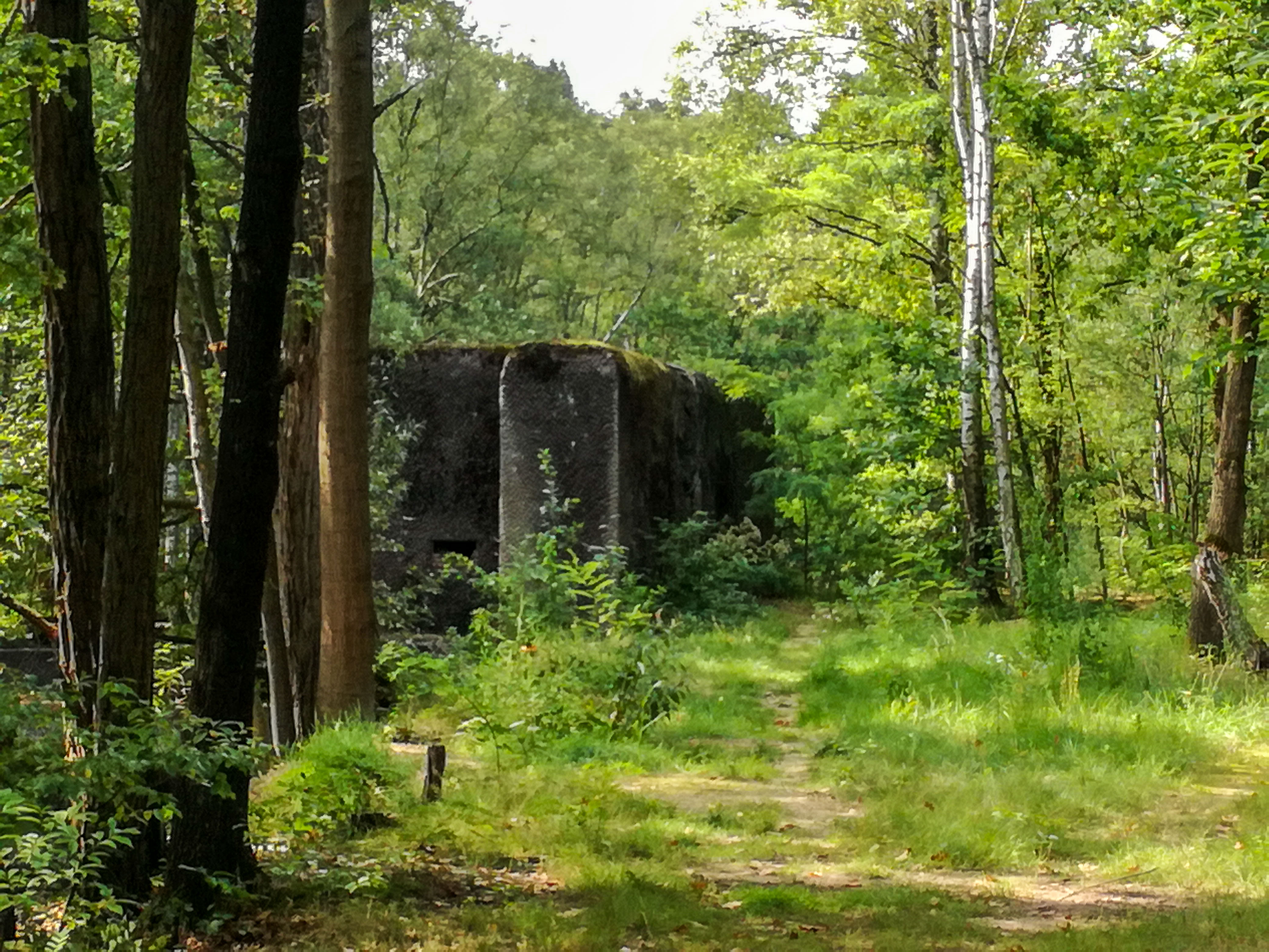 Wandeling langs het Antitankkanaal en door het Mastenbos - Kapellen (11 km)