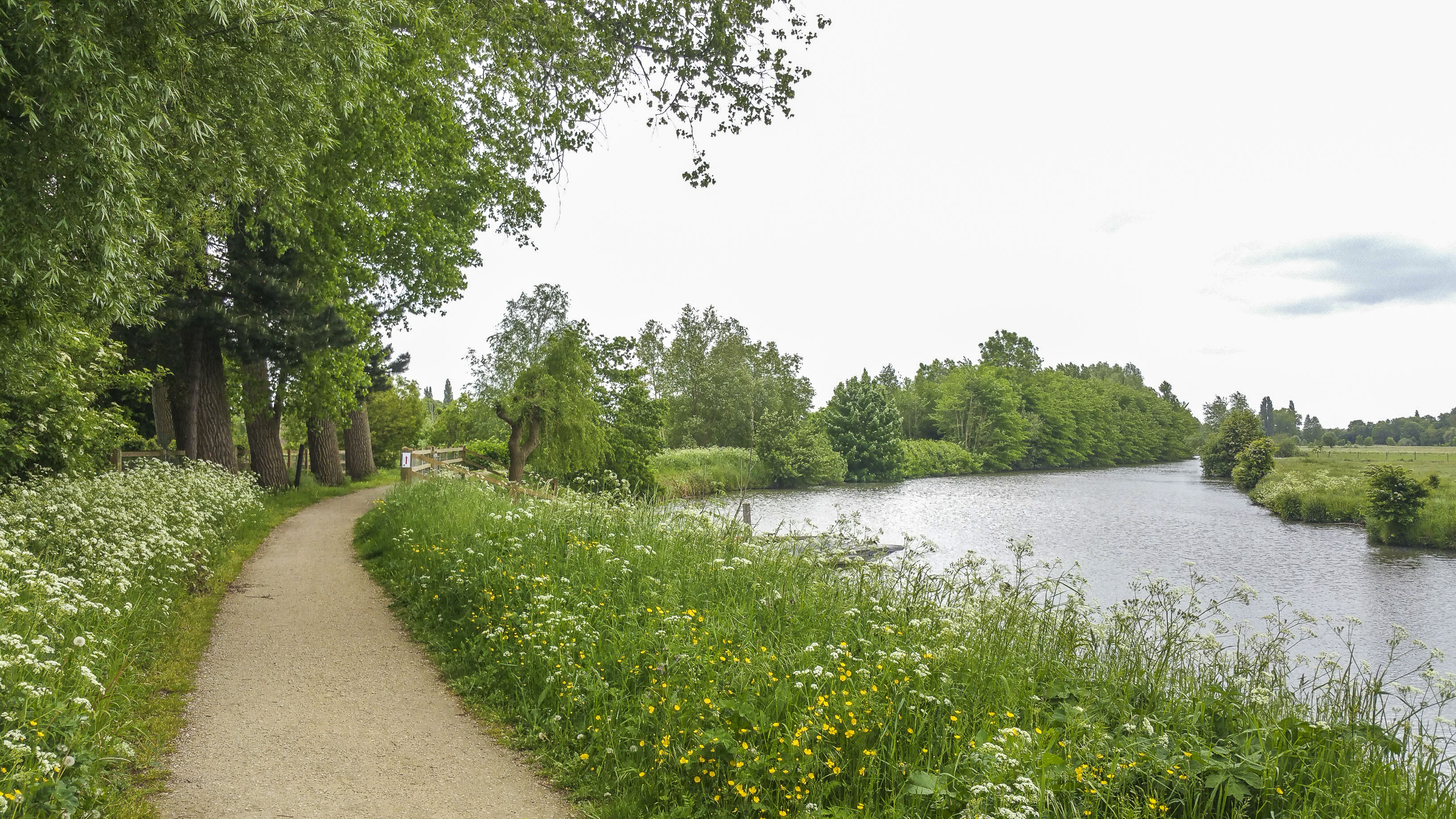 Wandelen langs de Levende Leie - De Assels (6 km)