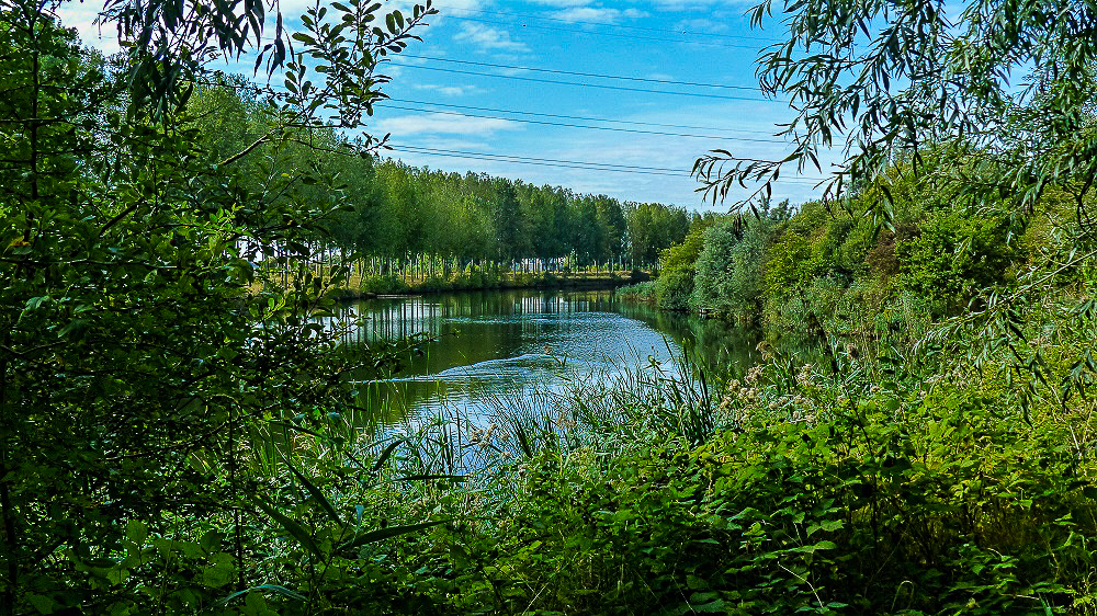 Wandeling doorheen de Lisdodde & langs de Melkader(6,5 km)