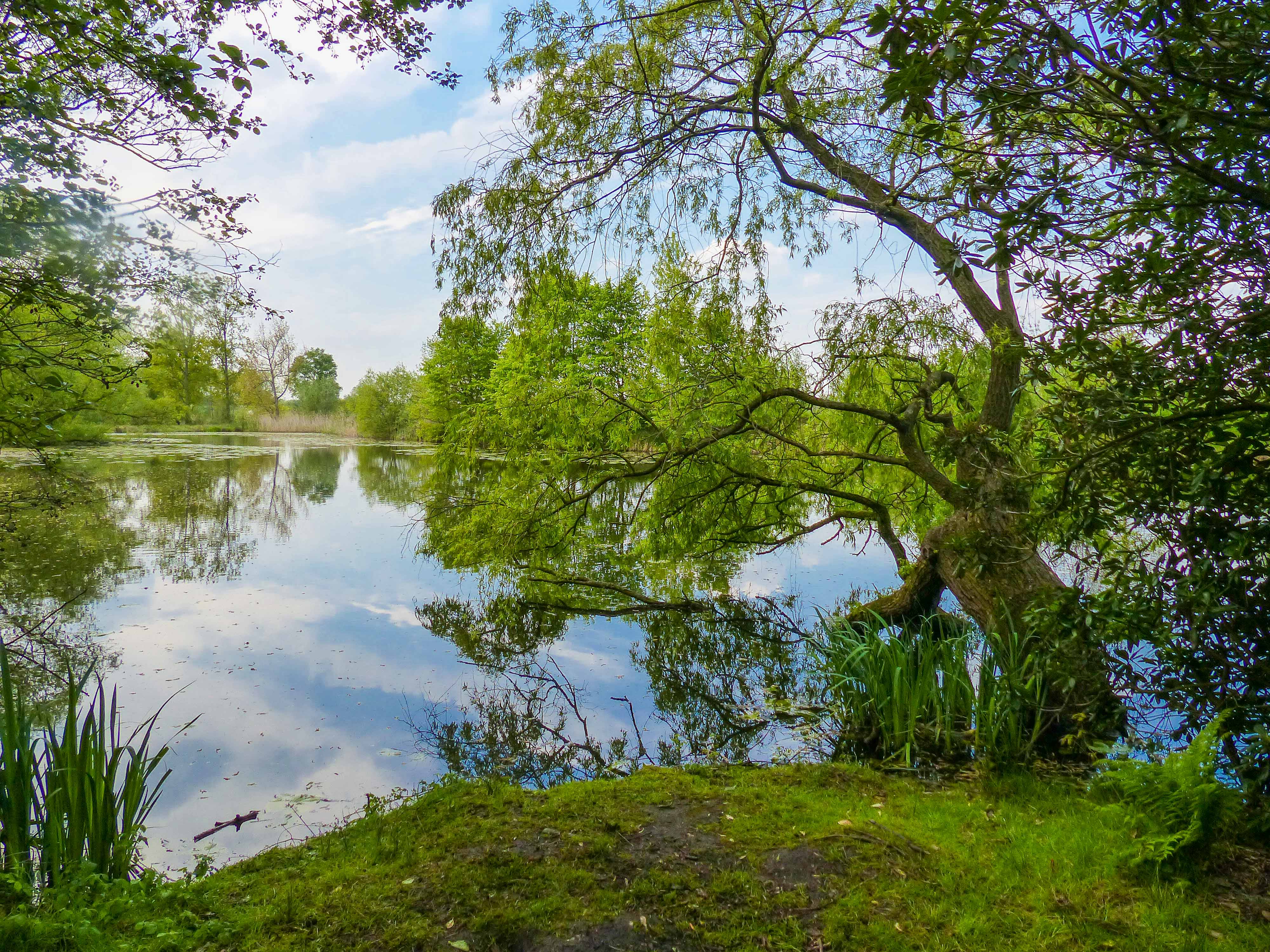 Wandeling doorheen de Polders van Kruibeke - Bazel (7,5 km)