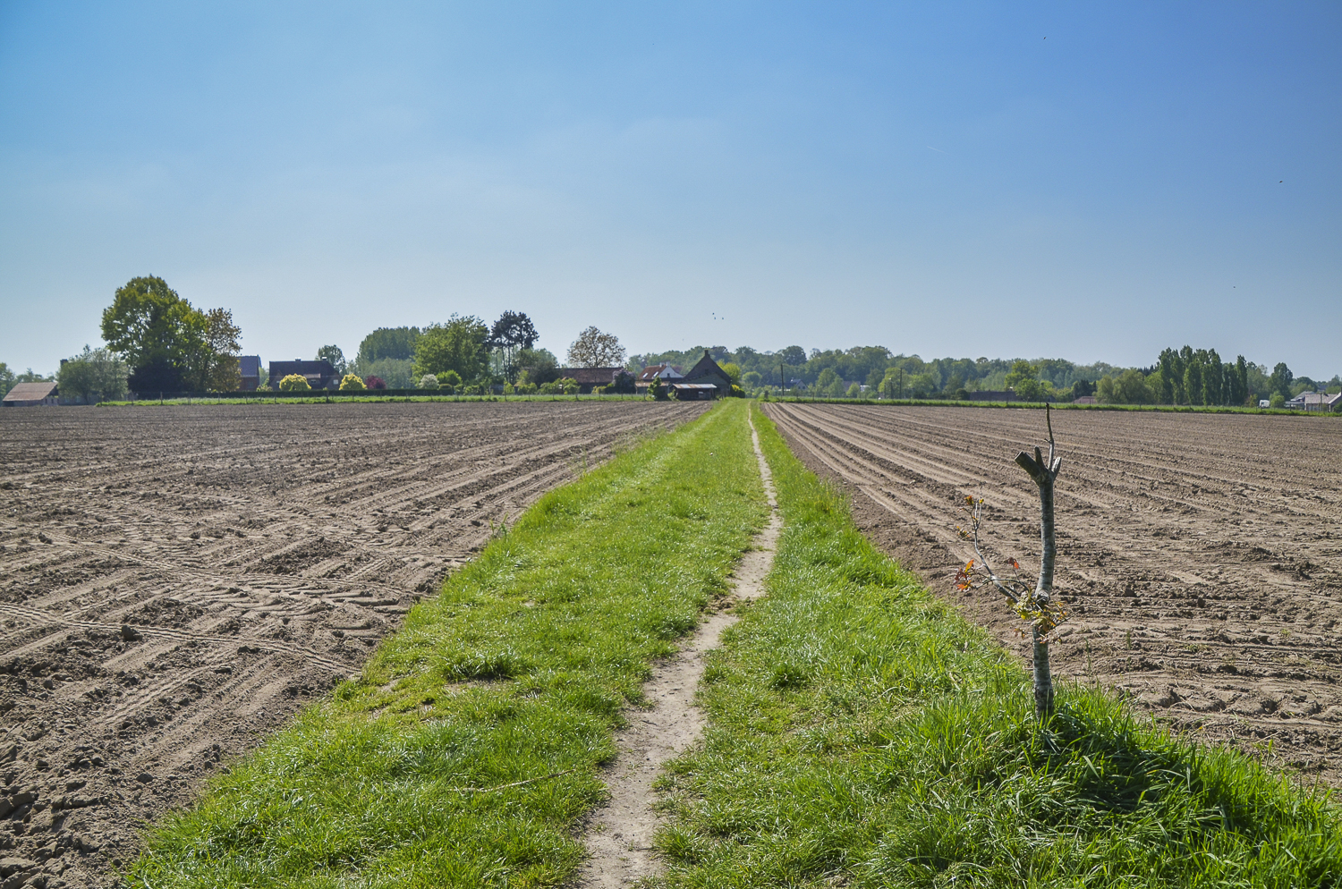 Wandeling langs trage wegen in Vurste (7 km) ACTIE 30-30!!