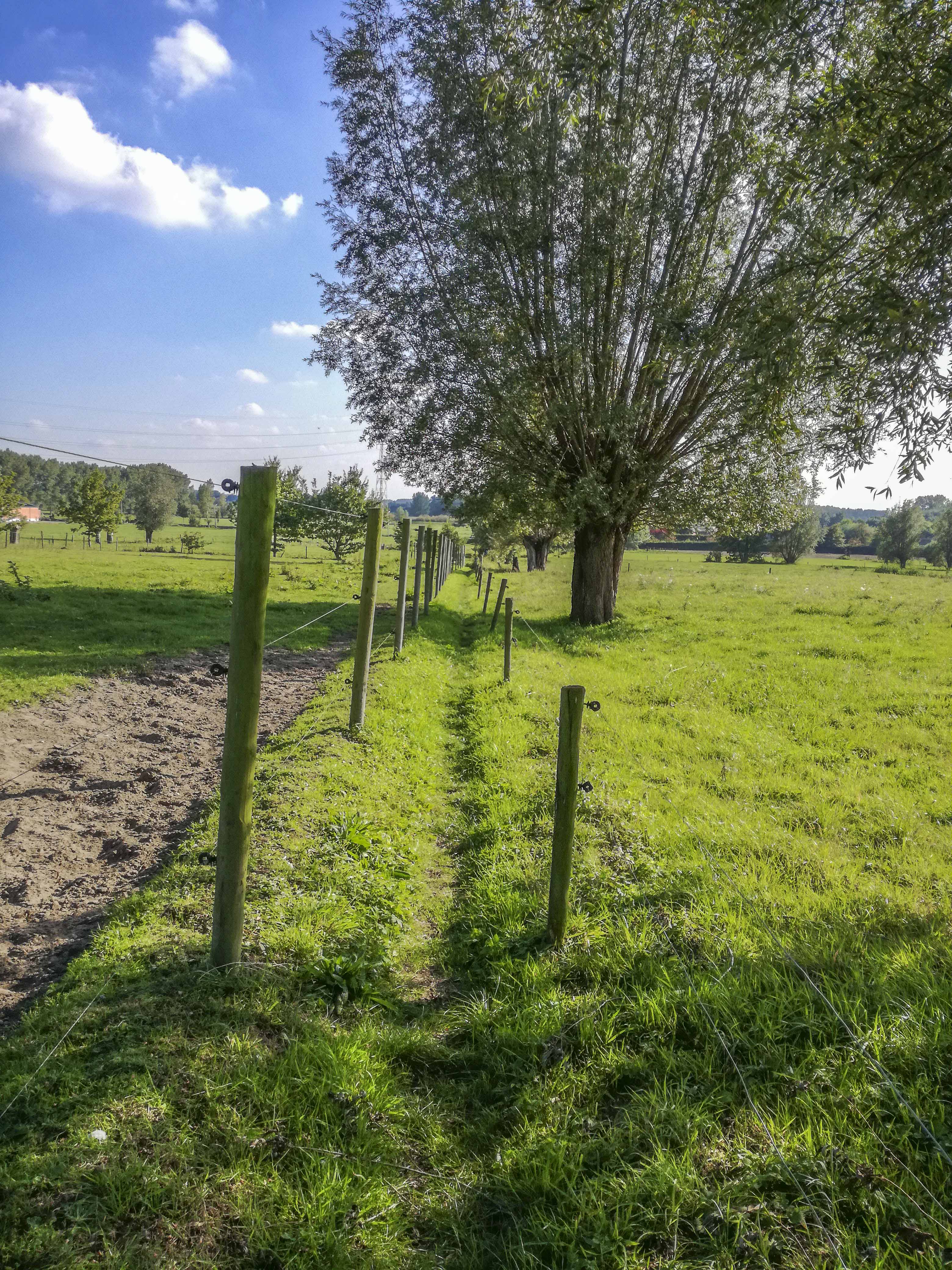 Wandeling doorheen de groene parel van het Waasland, De (rode) Roosenbergroute (7,5 km)