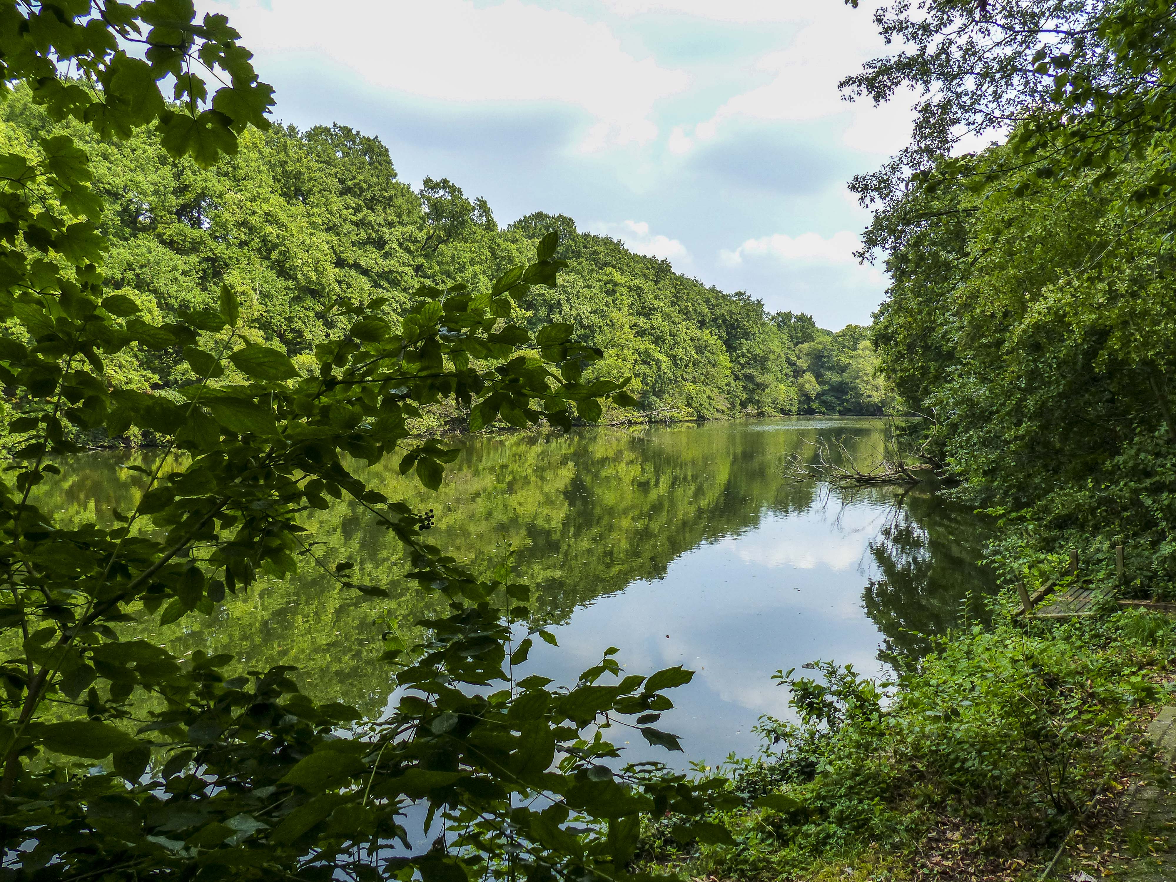 Wandeling doorheen de Struisbeekvallei (5,5 km)