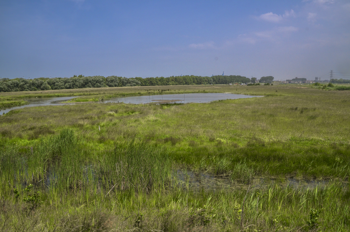 Wandeling doorheen de Fonteintjes Blankenberge (5 of 7 km)