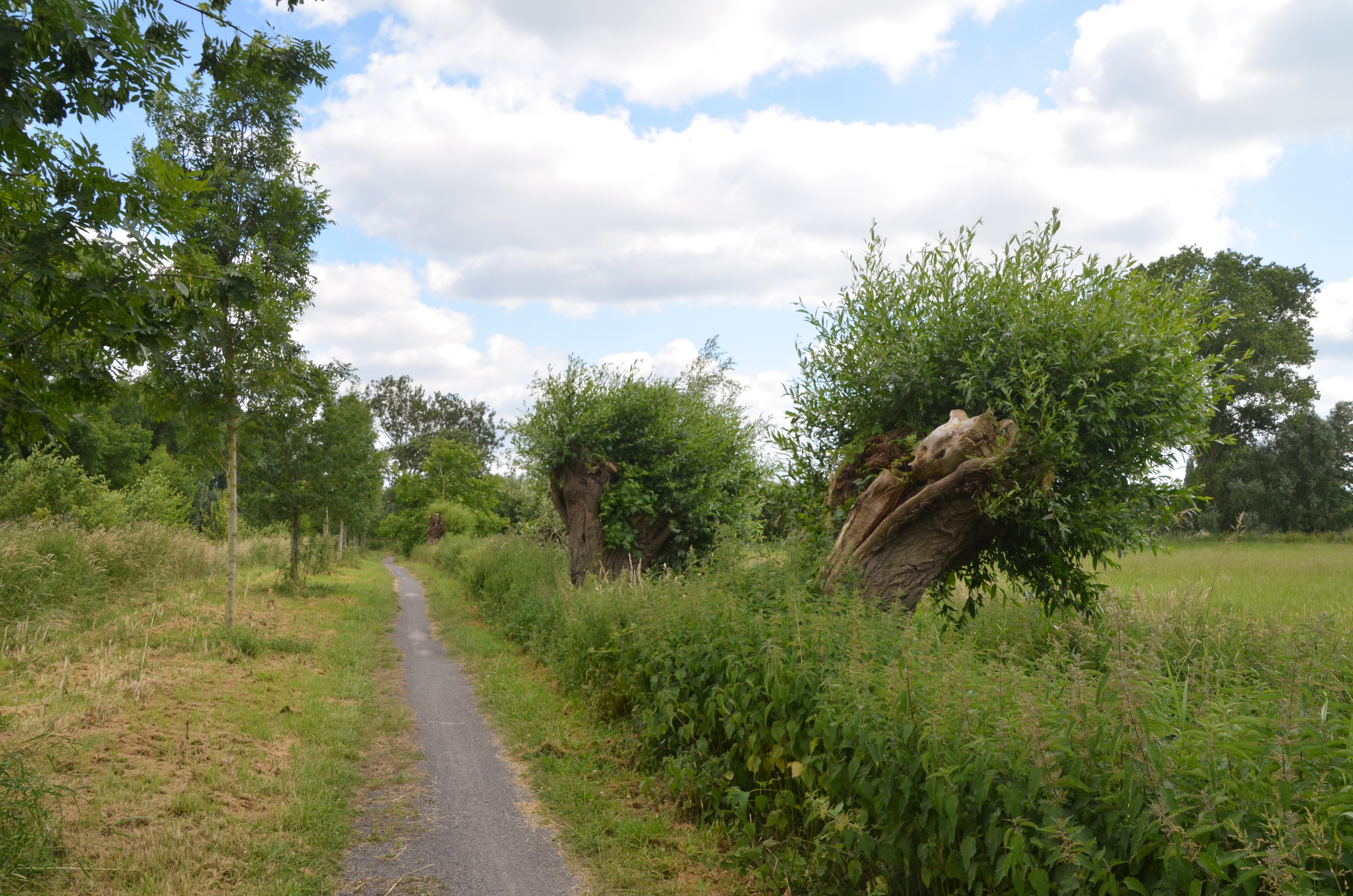 Wandeling doorheen de Oude Kale Vallei - Merendree (7 km) actie 30-30!