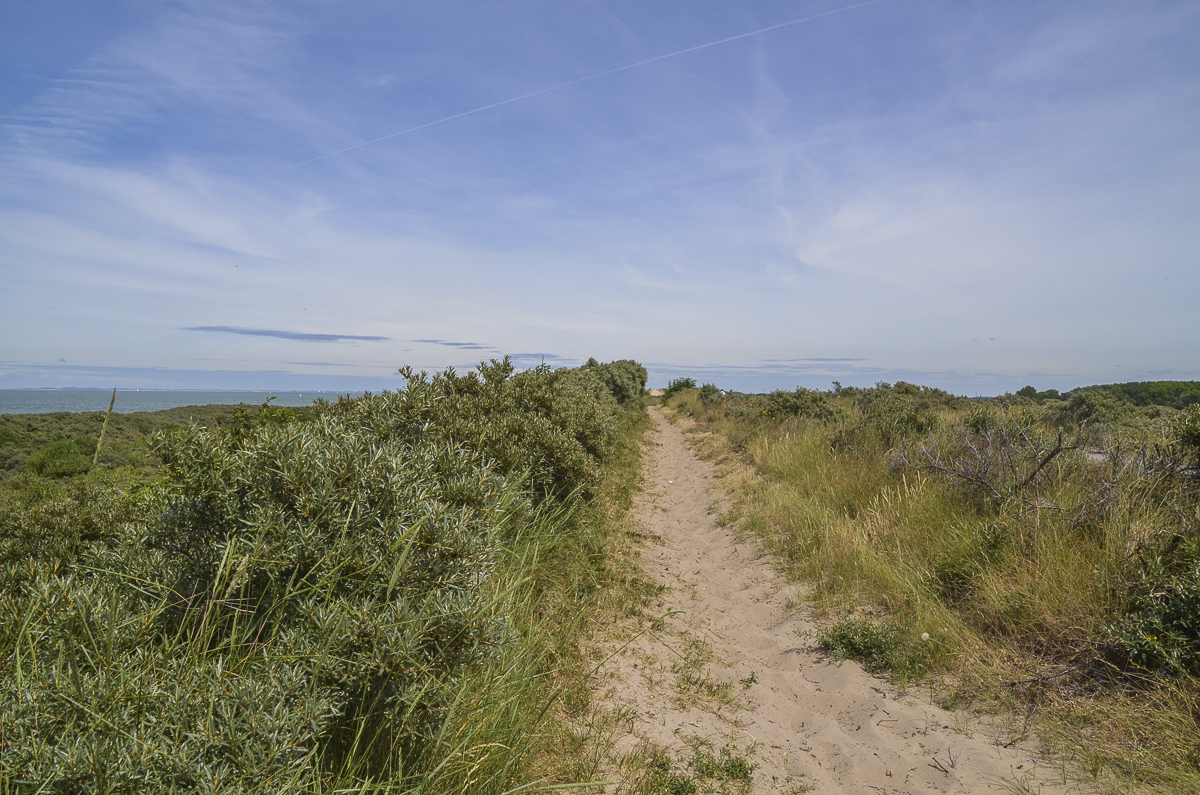 Wandeling doorheen de Zwinduinen- en polders (6.5 km)