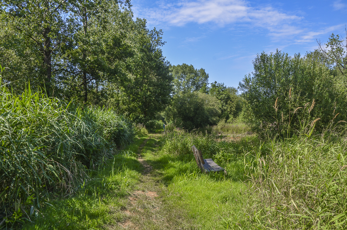 weekvanhetbos-Wandeling doorheen de Vaanders (5 km)