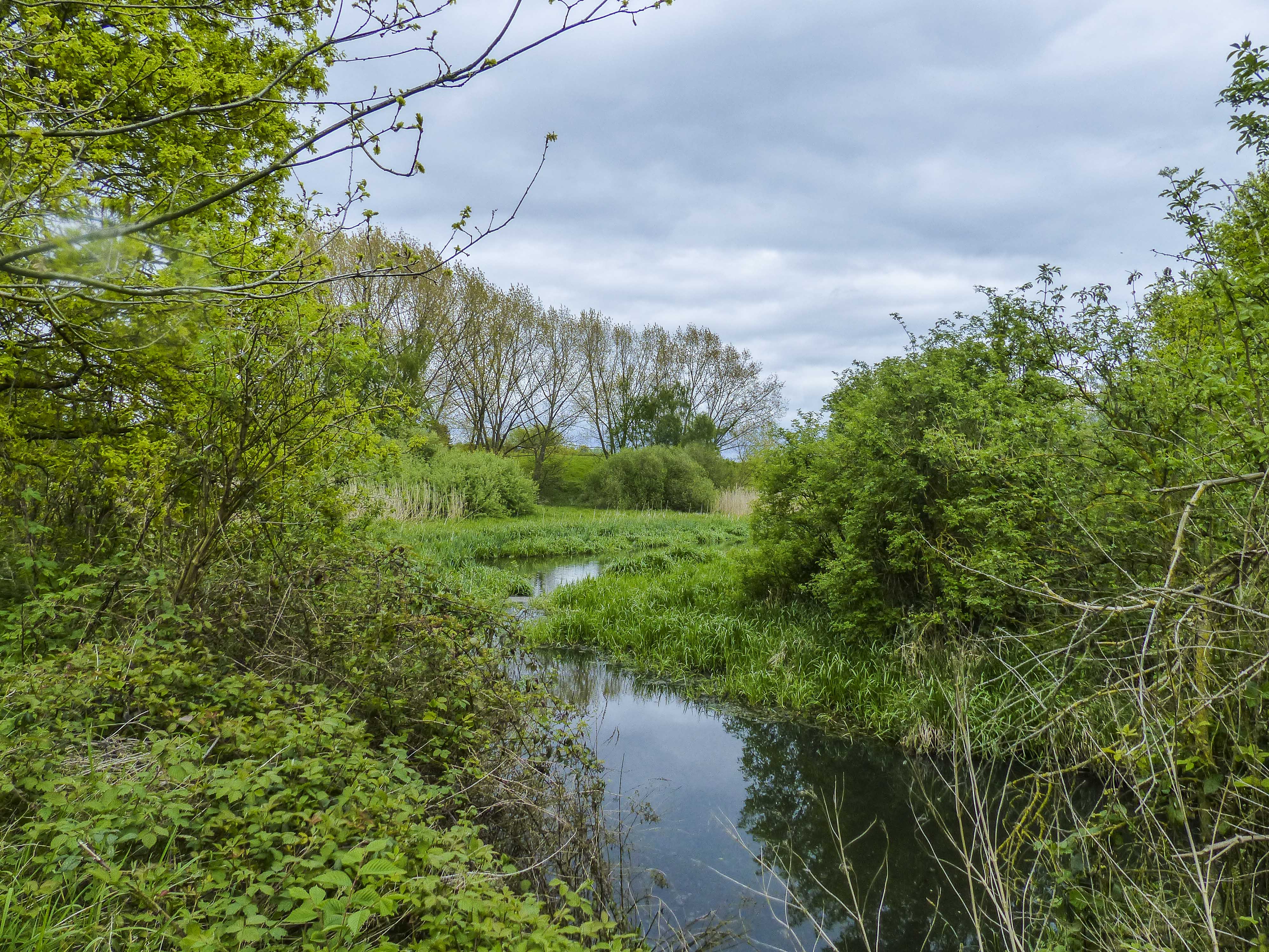 Wandeling doorheen de Biezenweiden, Broek de Naeyer en Hazewinkel (11 km)