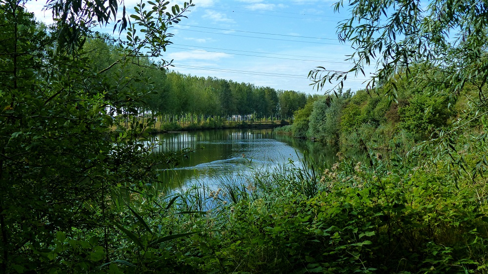 Groene wandeling rond Kallo doorheen Het rietveld van Kallo, Het Groot Rietveld en De Lisdodde (7,5 km)