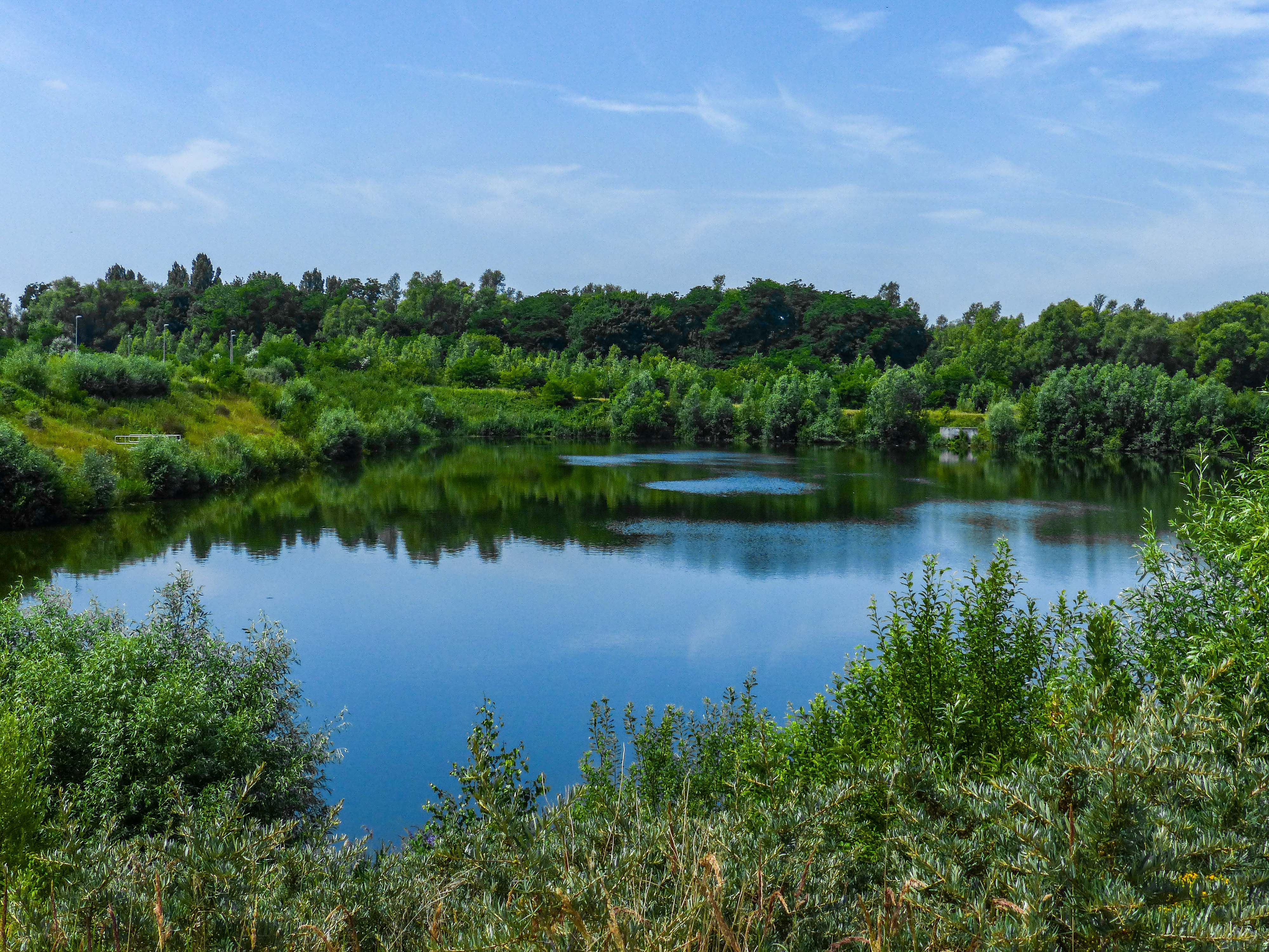 Wandeling doorheen het Neuzenbergbos & langs de Burchtse Weel (5 km)