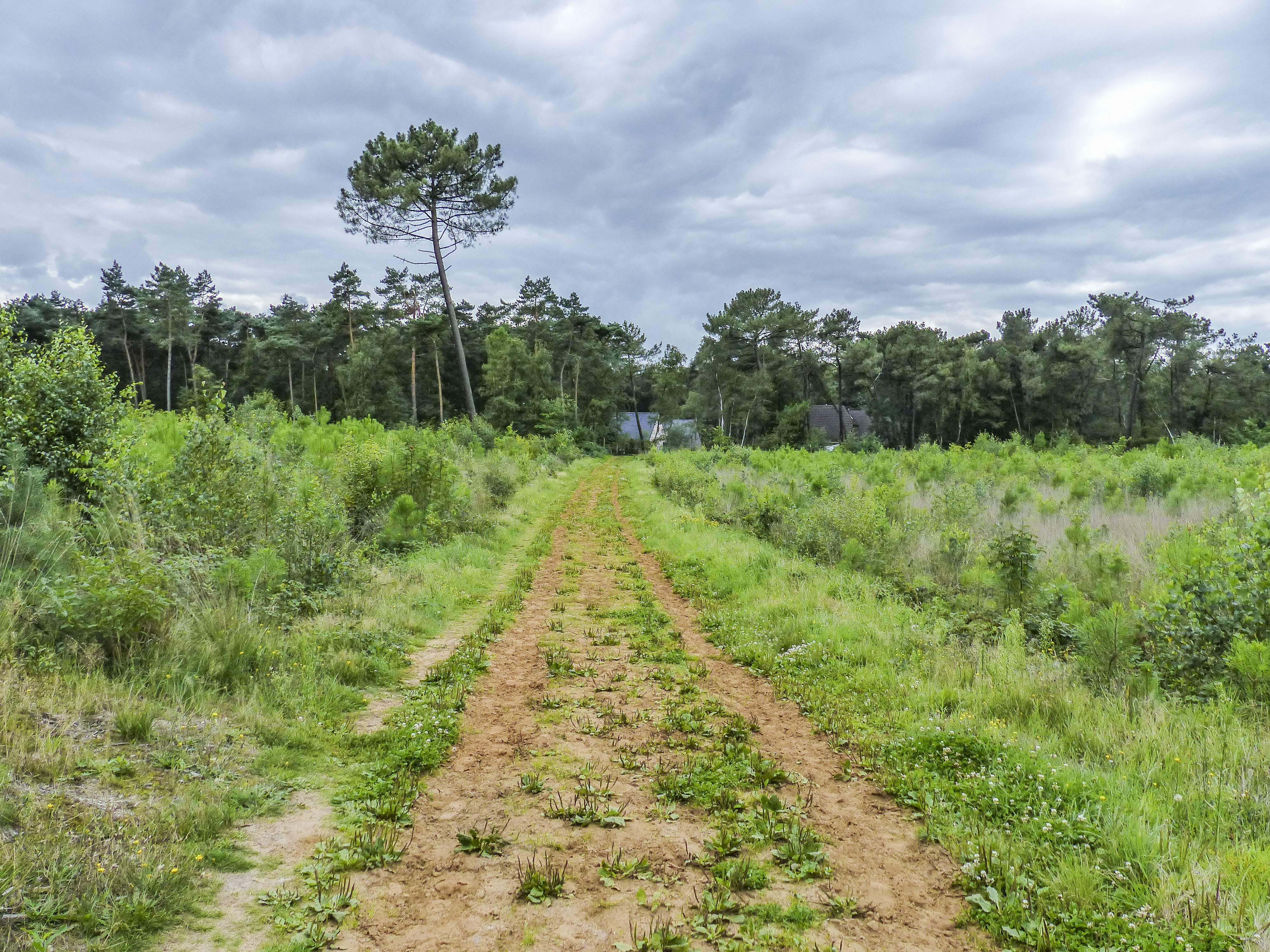 Wandeling doorheen de Ruige Heide, Het Ravenhof & Moretusbos (11 km)