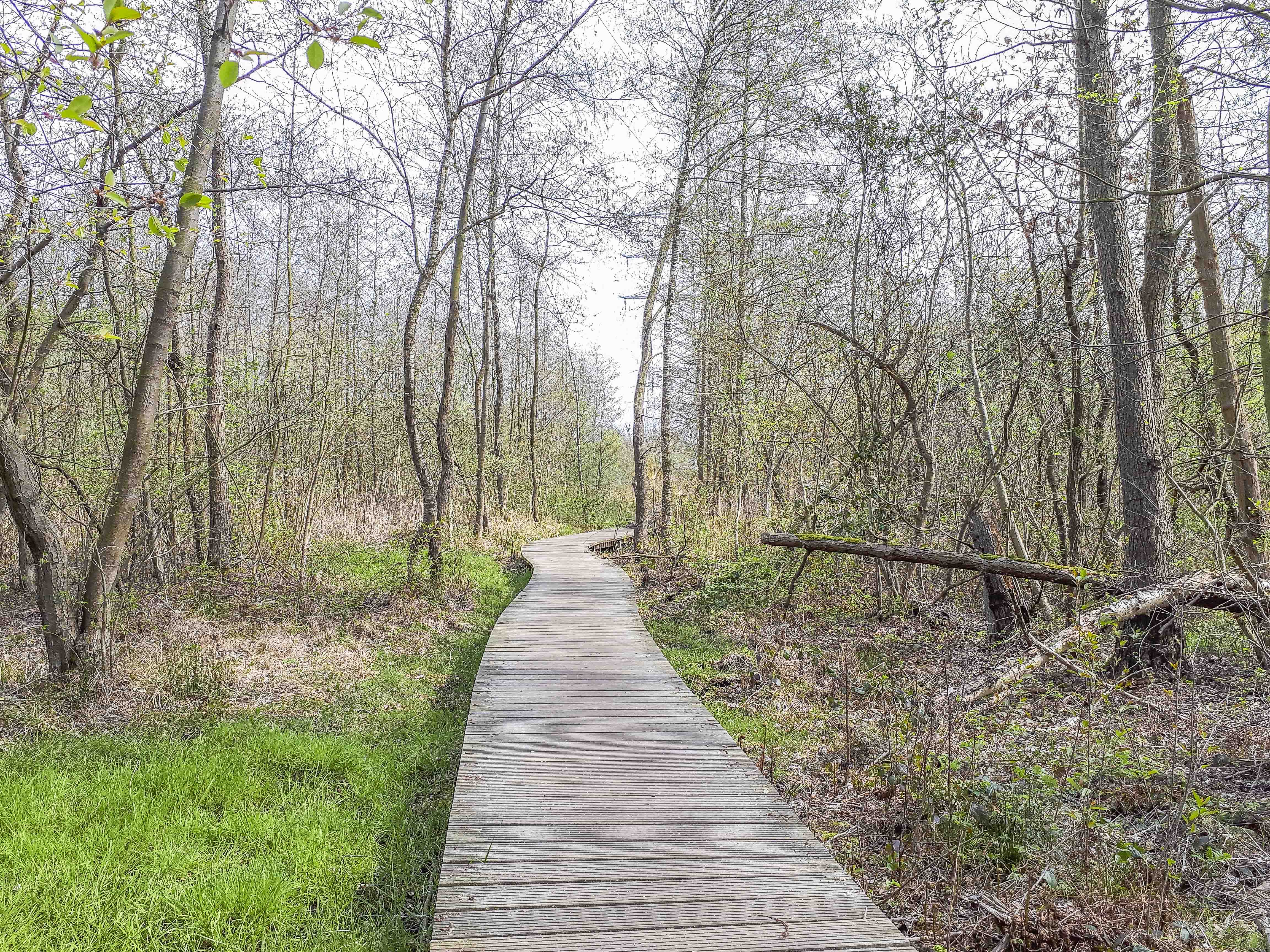 Wandeling doorheen het Thorpark (5,5 km)