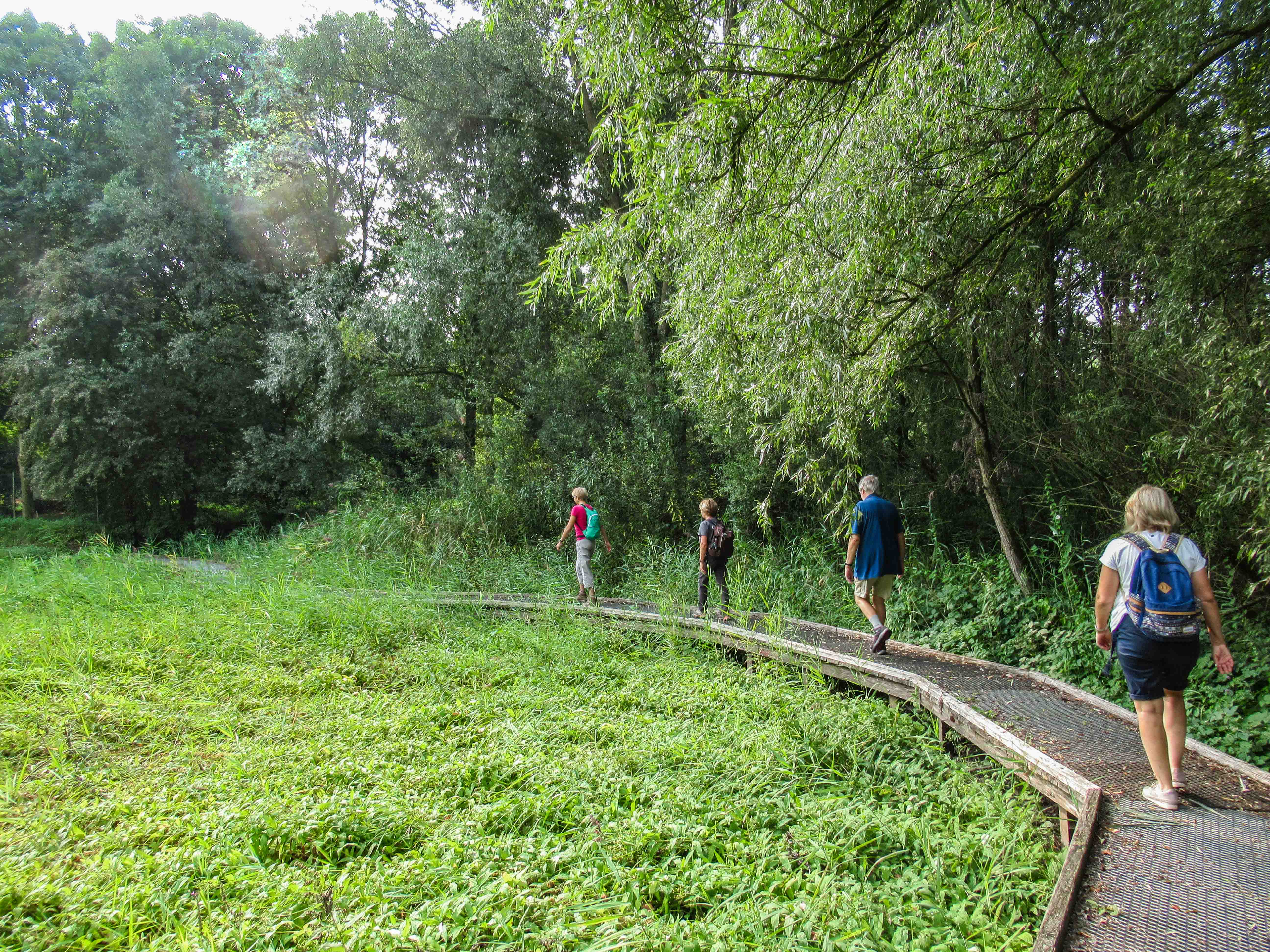 Wandeling door het Parkbos Hof Ter Saksen (5 km)