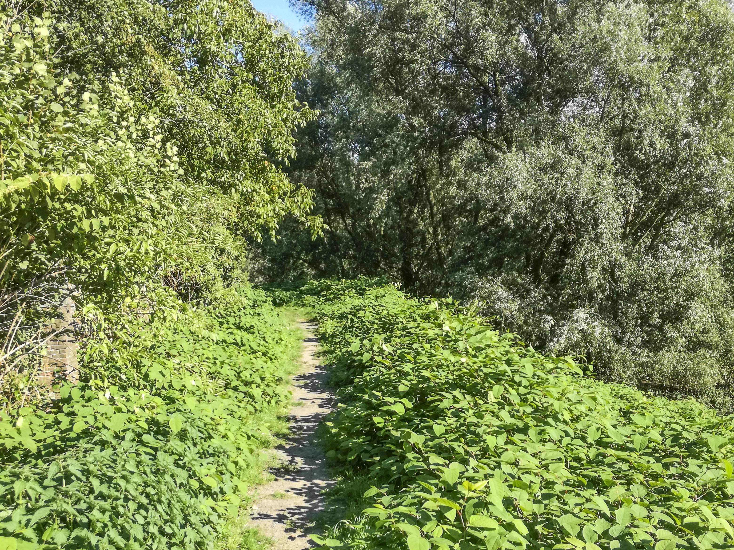 Wandeling in Hemiksem – Park Callebeek-Terlocht, St.Bernardusabdij, Benedenvliet & Landschapspark Den Akker (8 km)