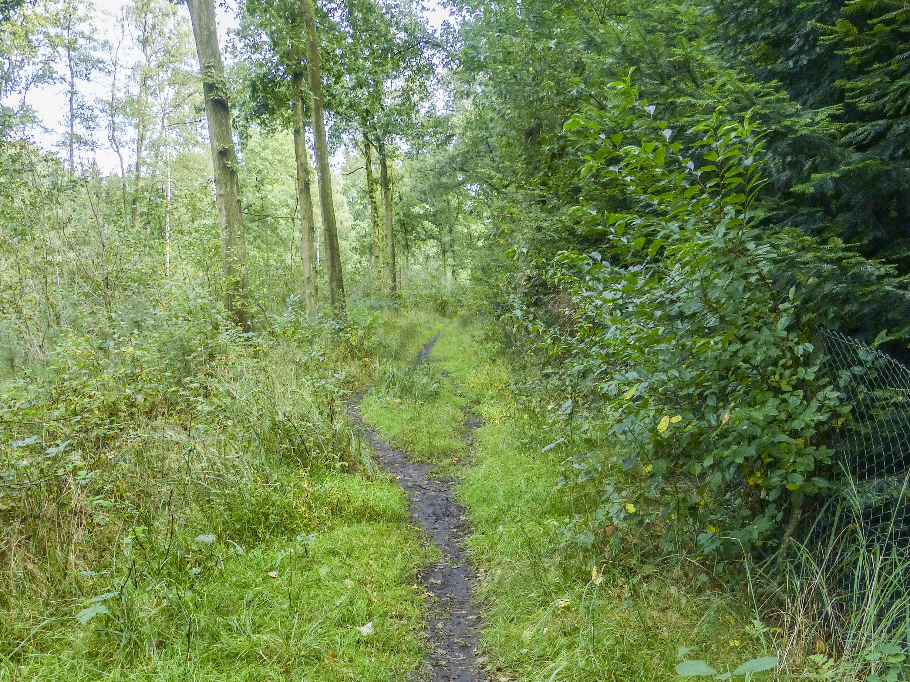 Wandeling door het Stropersbos (10 km)