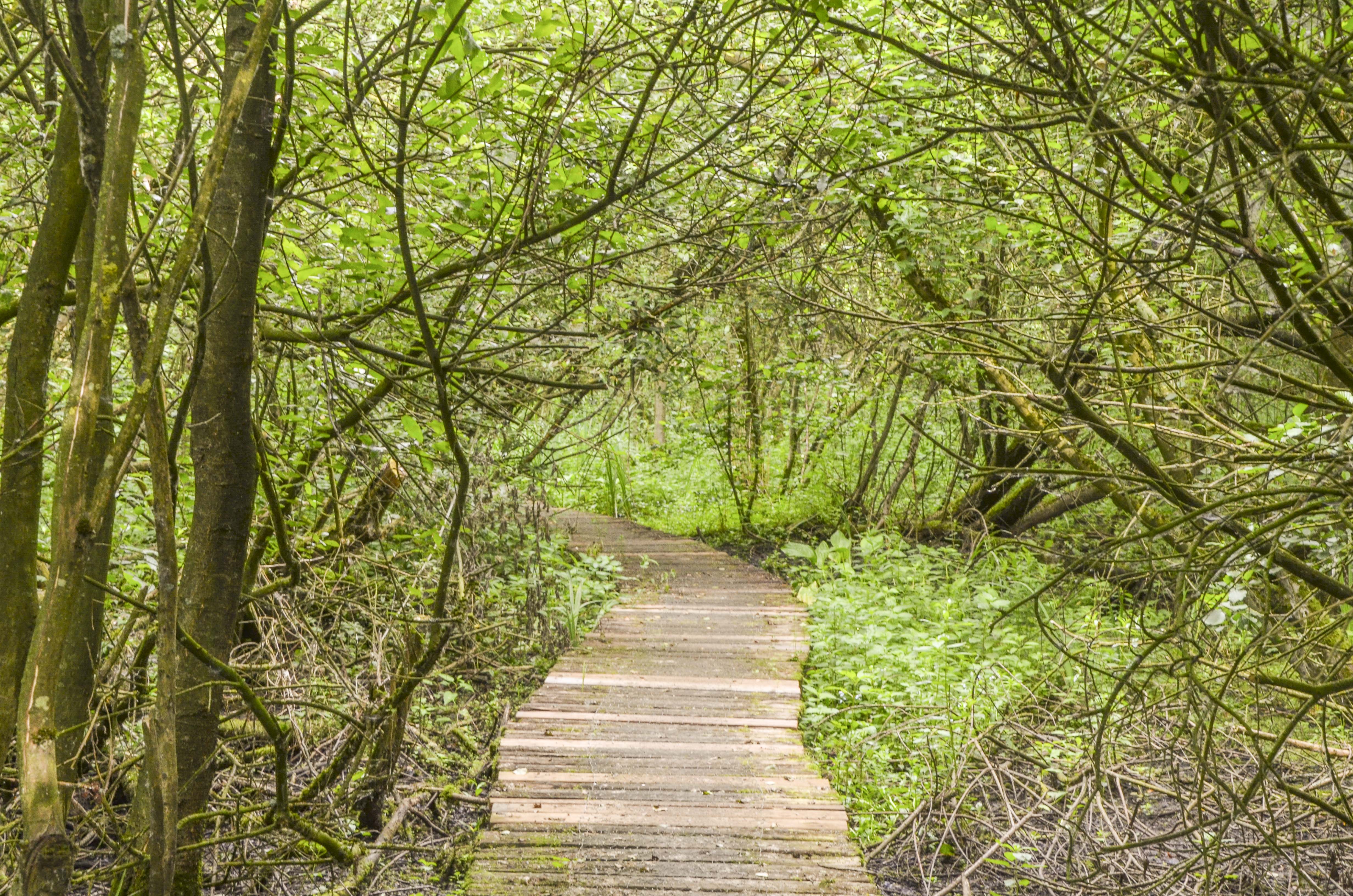 Damvalleipad, de Hauw én De Bochten- Destelbergen (5 of 8 km) -met etentje