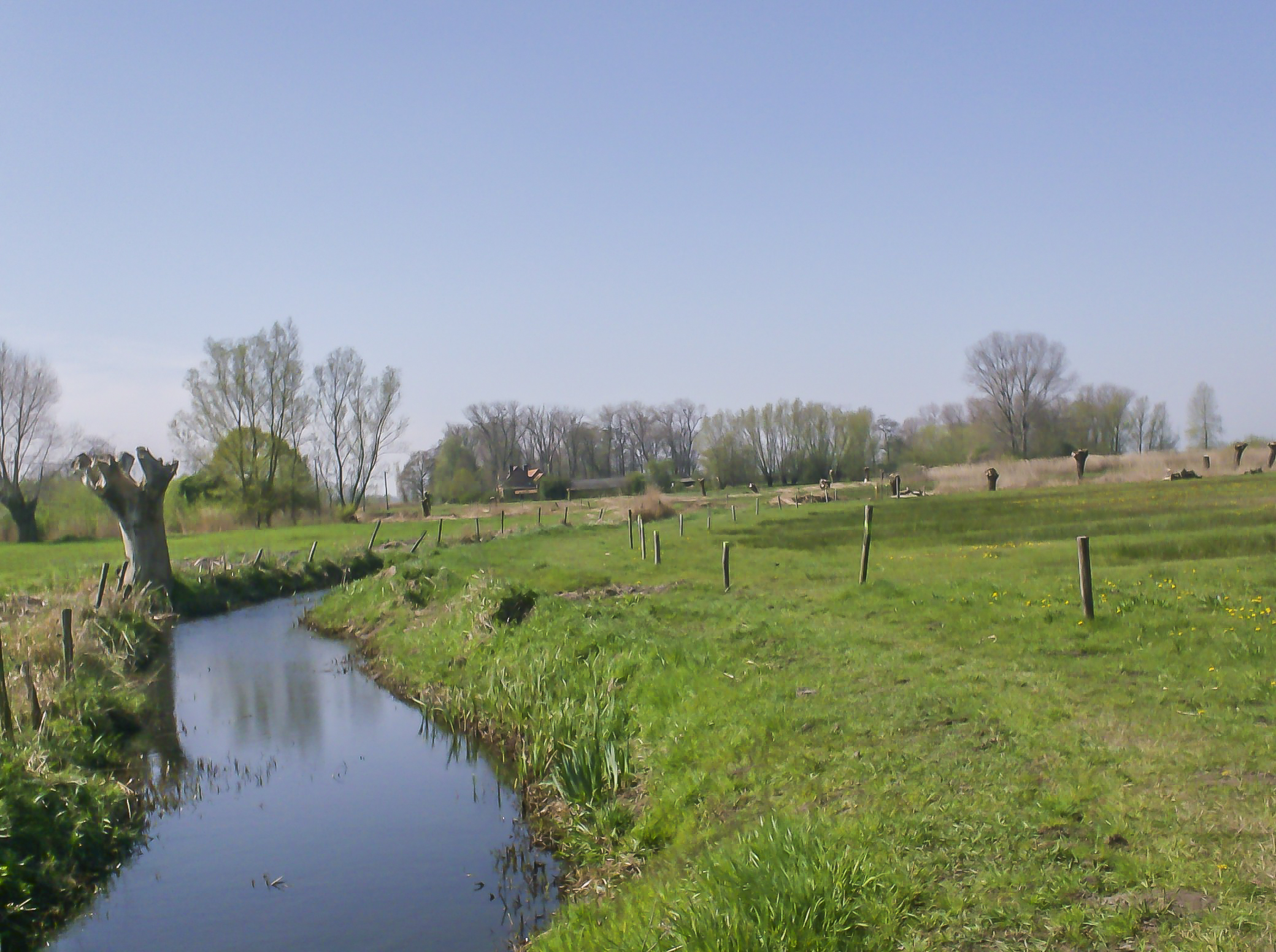 Wandeling doorheen de Meetkerkse Moeren (8,5 km)