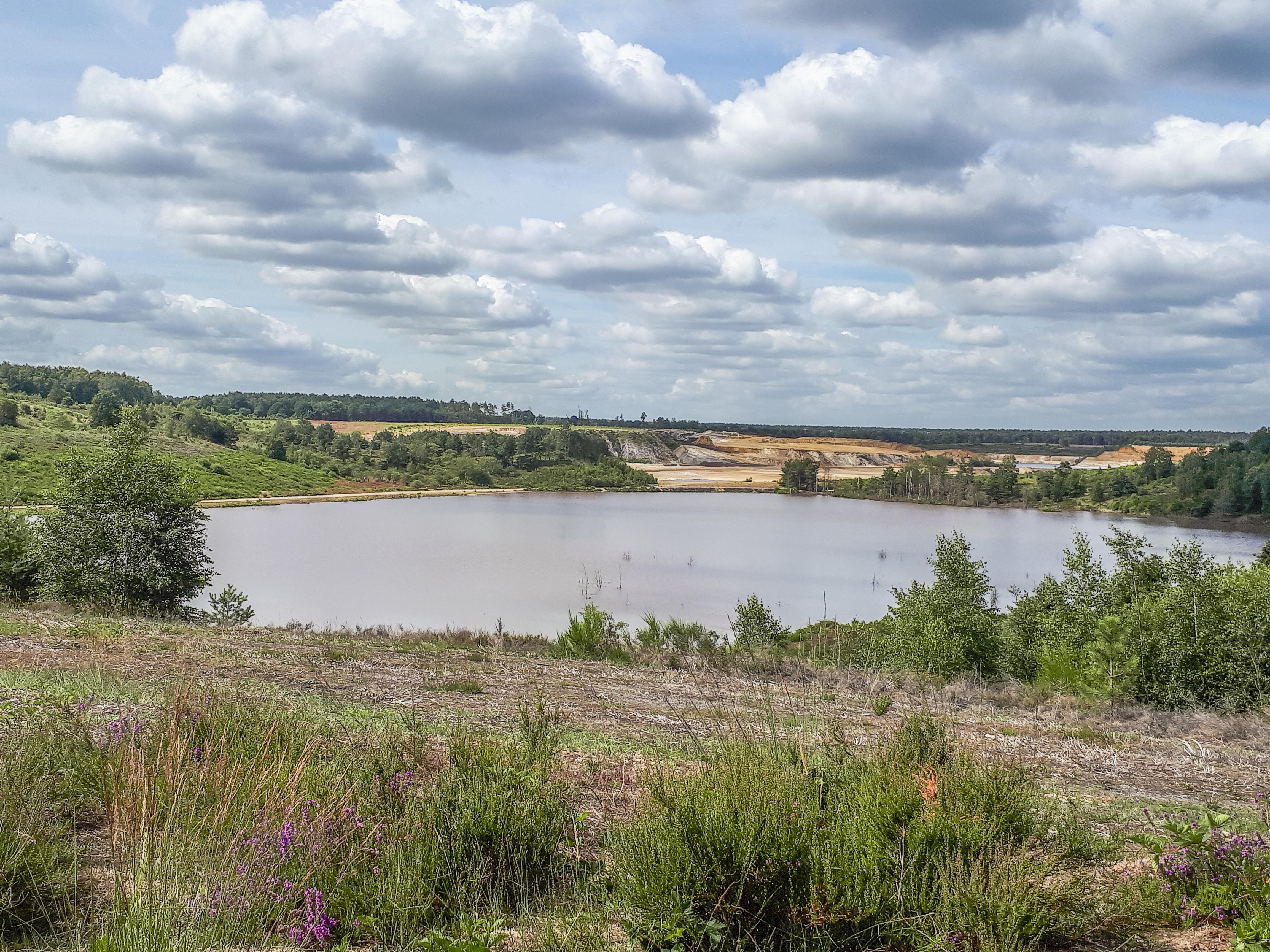 Wandeling doorheen de Mechelse Heide (5,5 km)