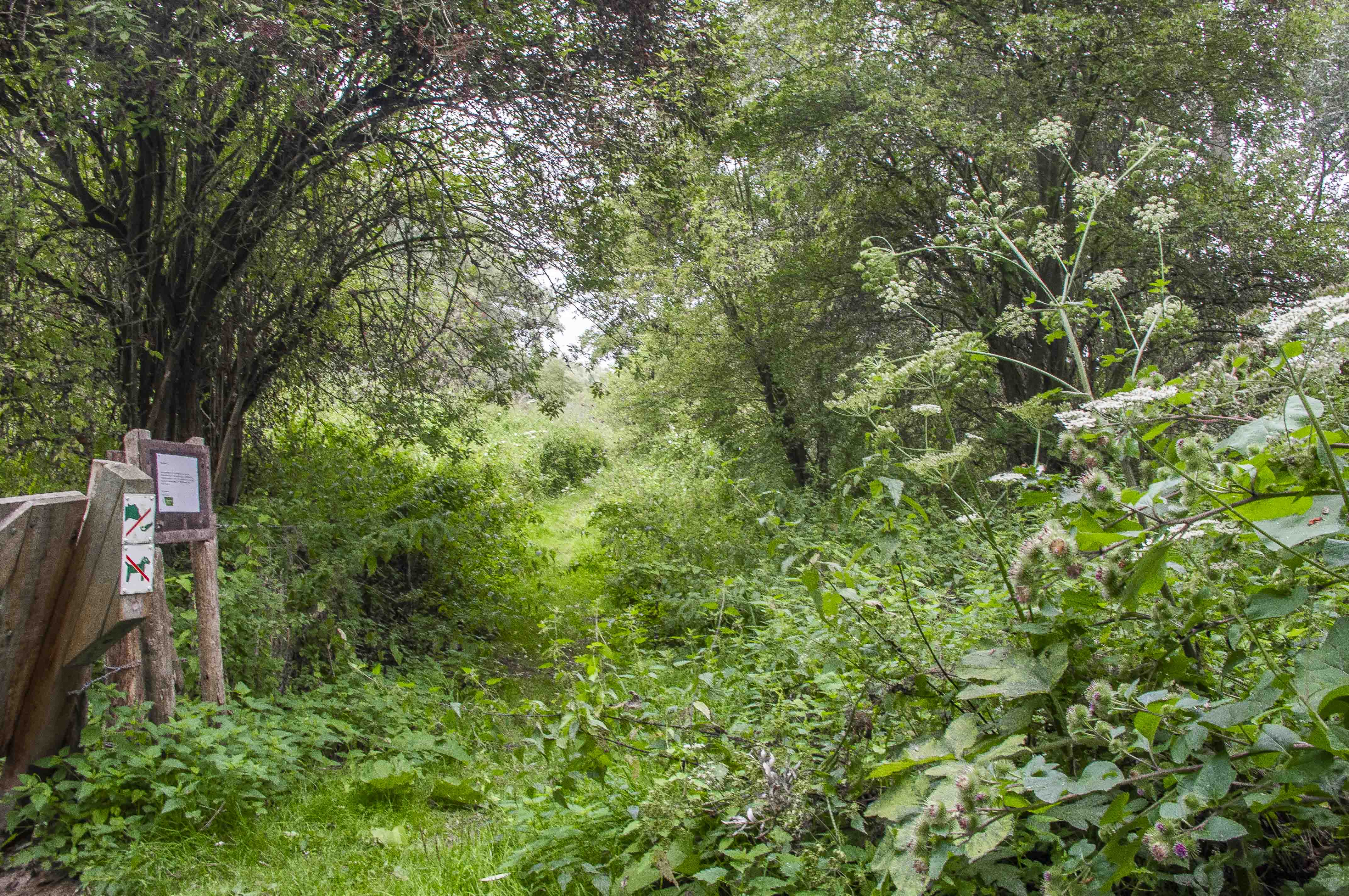 Wandeling doorheen de Rijtmeersen te Oudenaarde (7 km)