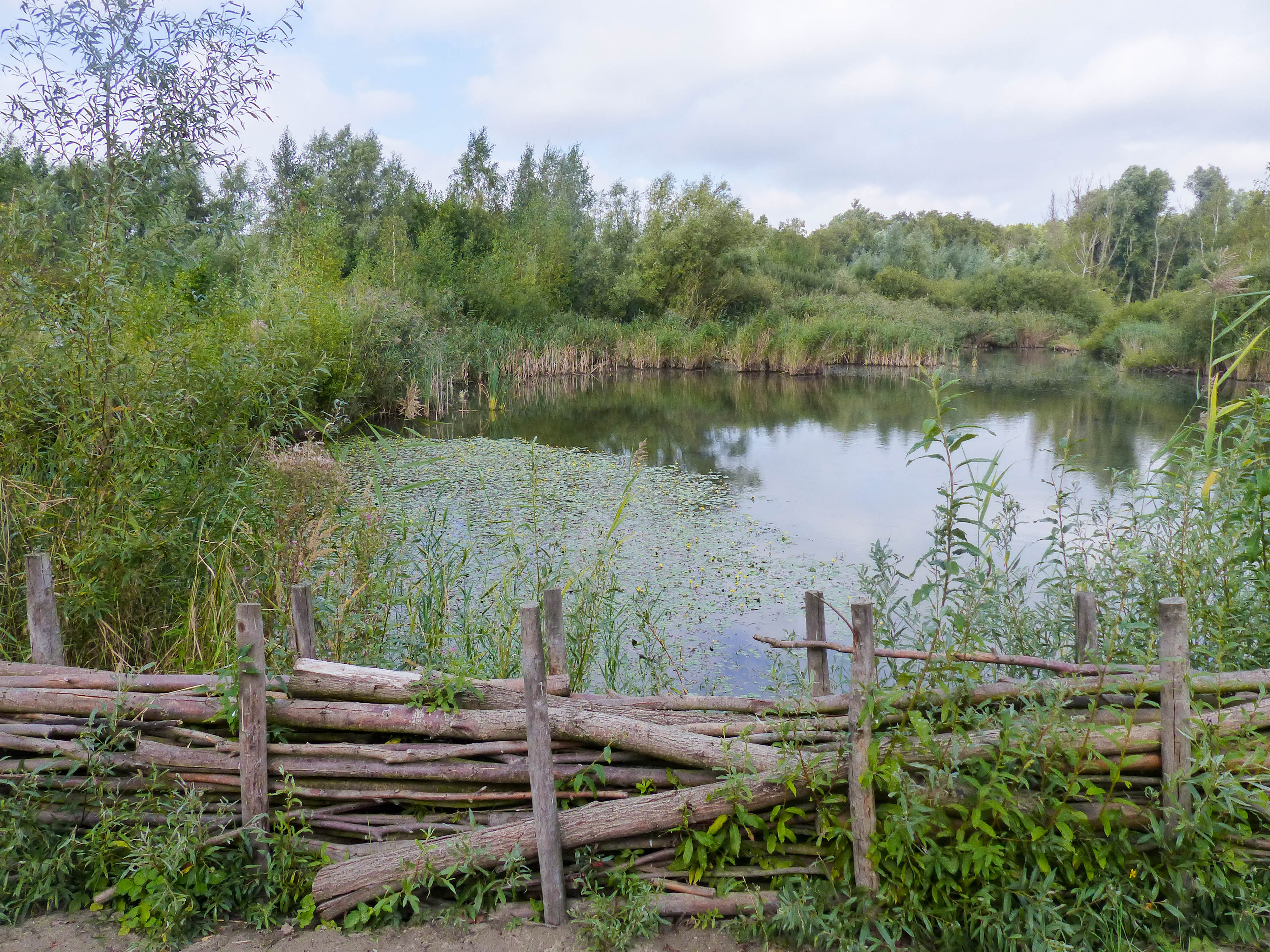 Wandeling doorheen Het Rot & Middenvijver (5,5 km)