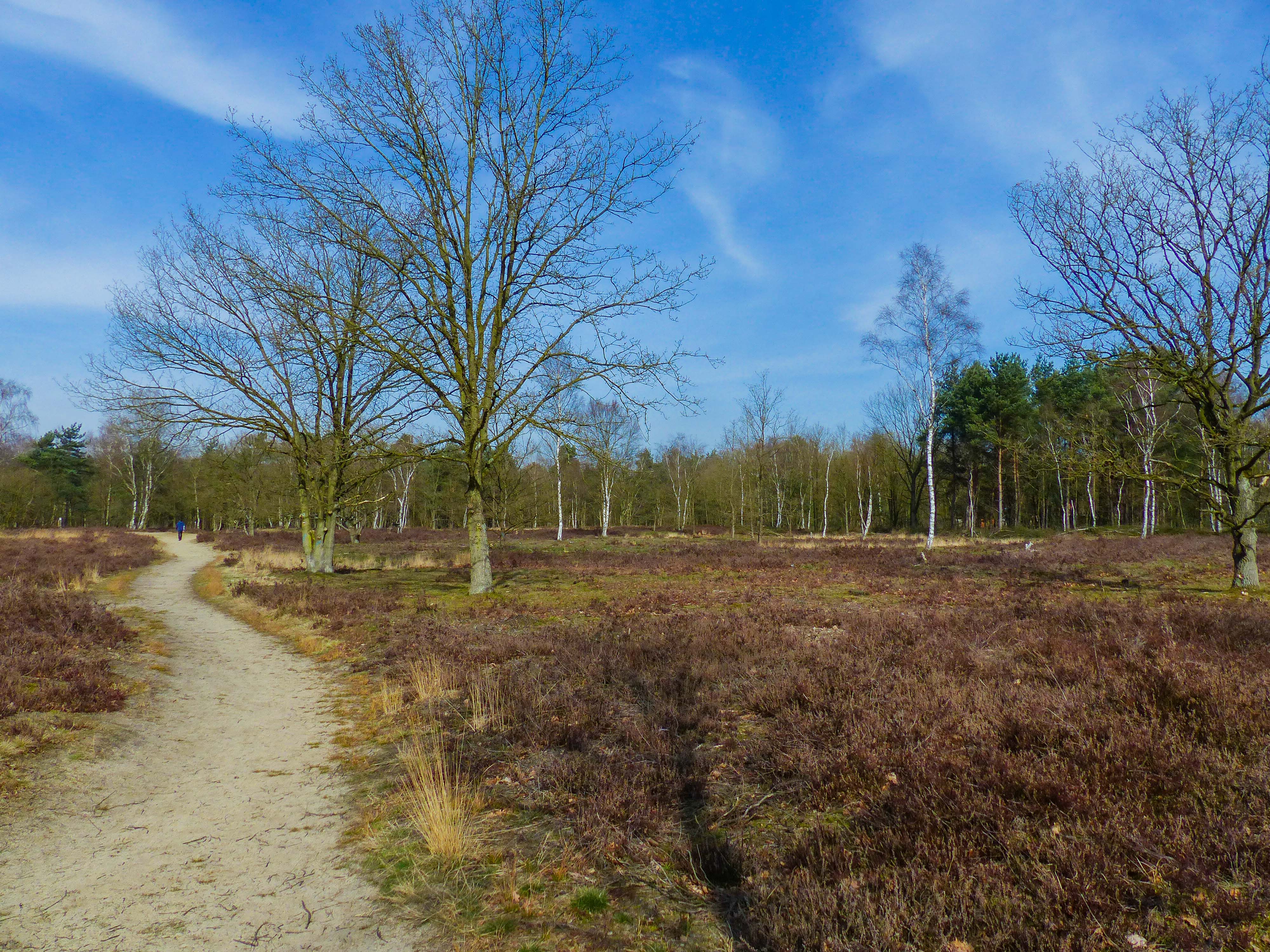 Wandeling doorheen de Kesselse Heide & de Kleine Netevallei (10 km)