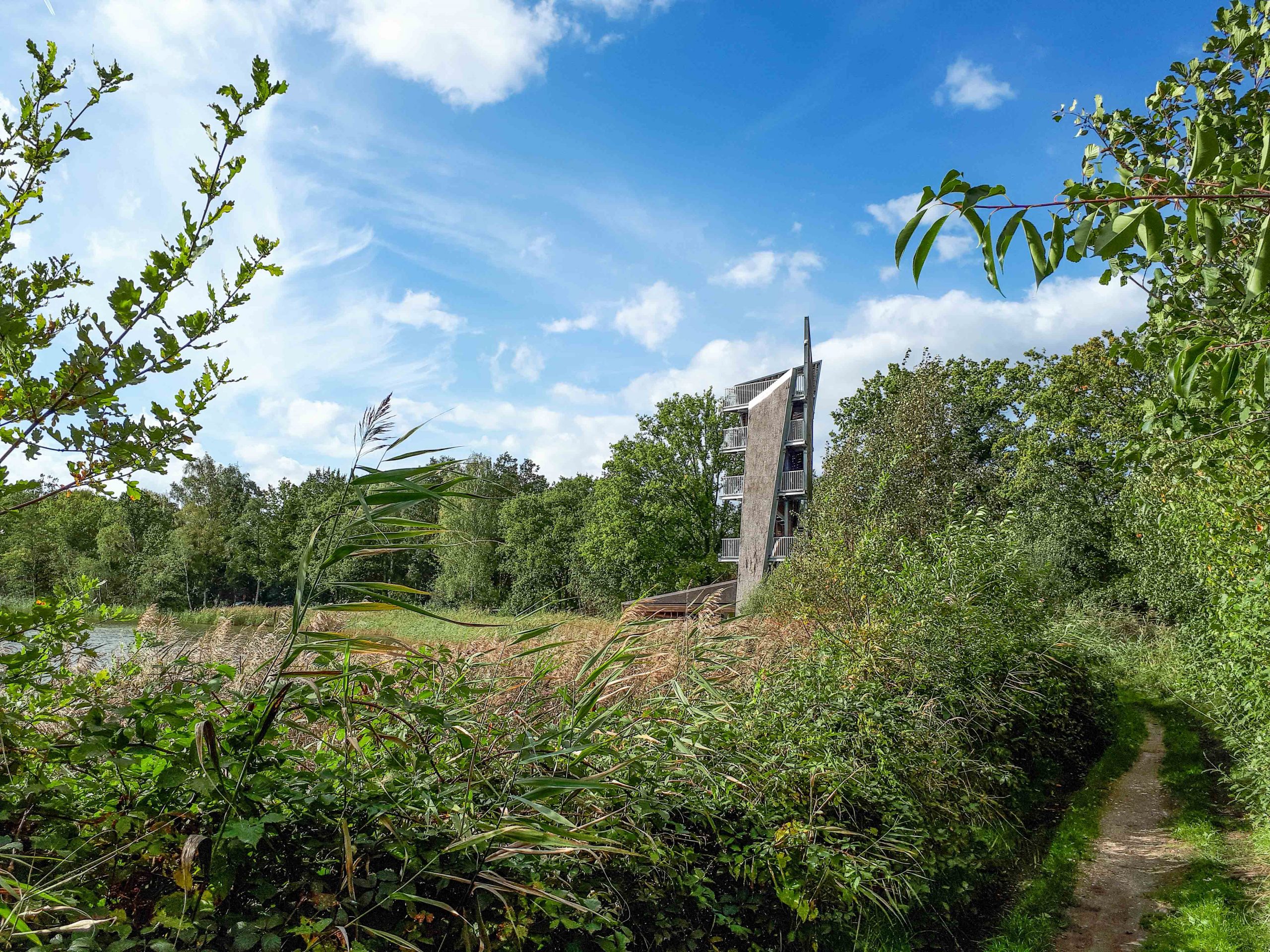 Wandelen in het hart van De Wijers - Platwijers & Wijvenheide (5,5 km)