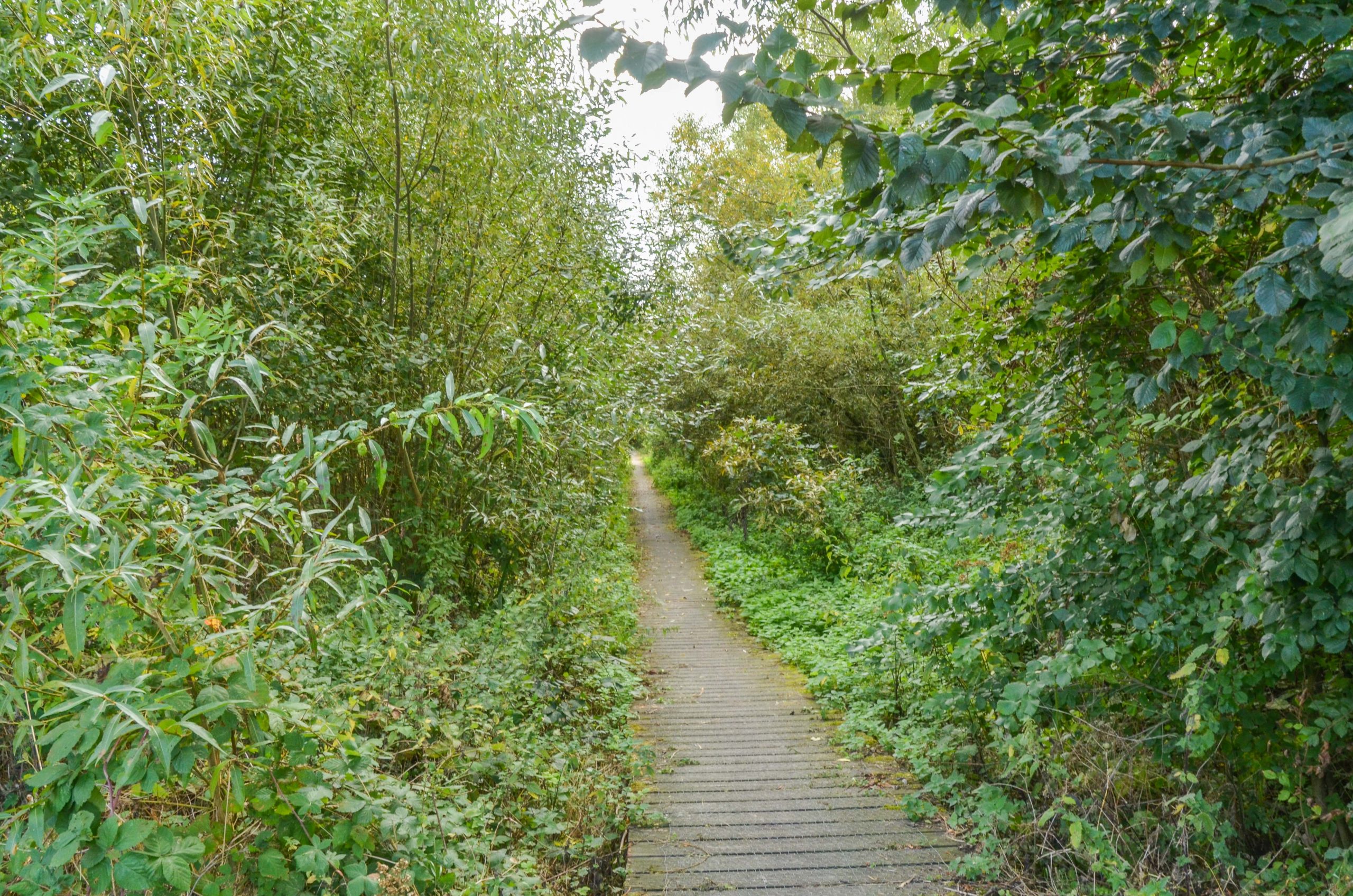 Wandeling in de Zeverenbeekvallei - Wontergem (6.2 km)