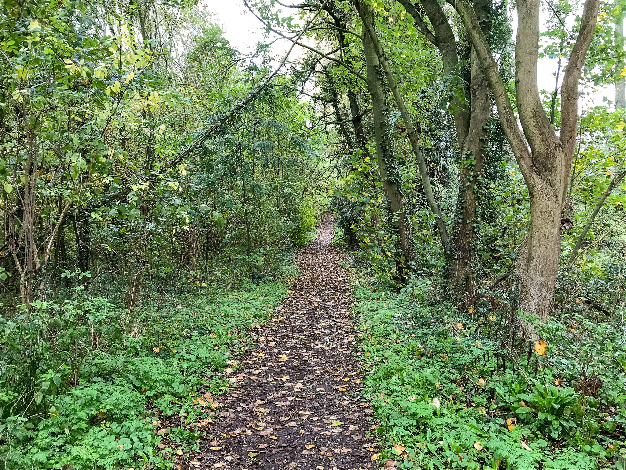 Kluizenaarswandeling in Vrijhern (5 km)