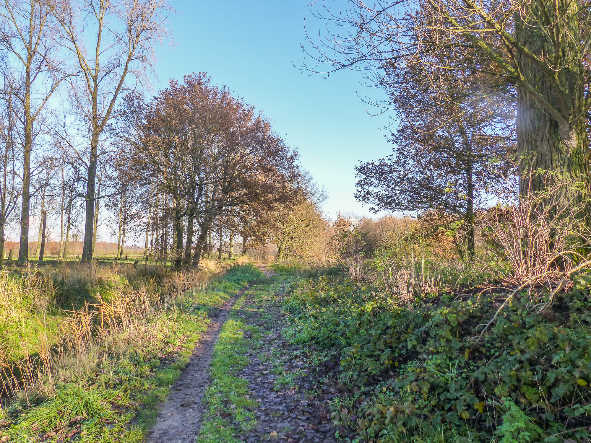 Wandeling Waterwingebied Evides (7 km)