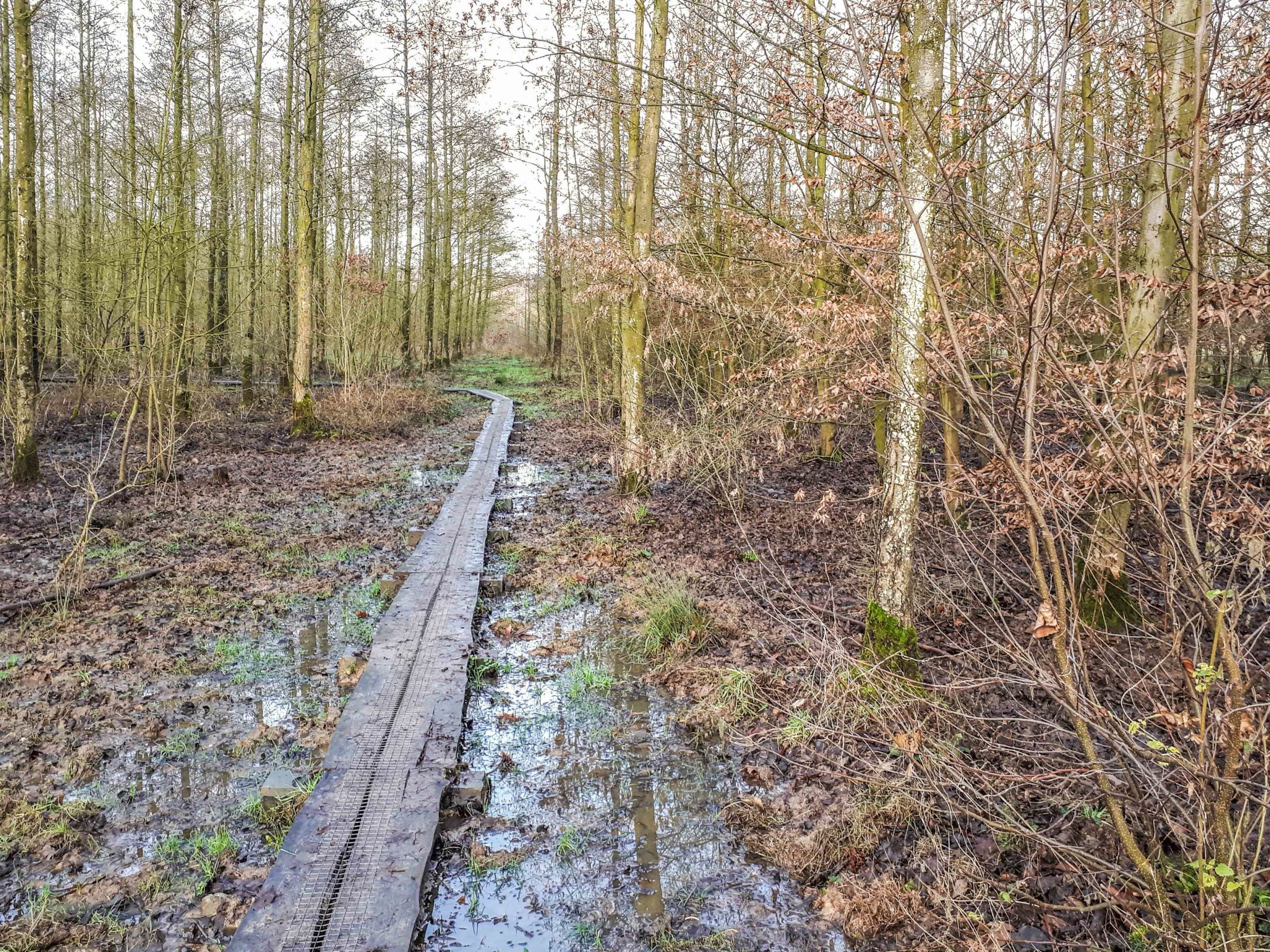 Wandeling in en rond domein Pietersheim