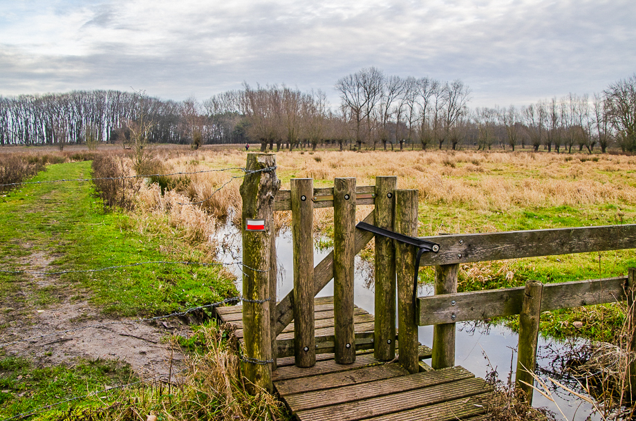 Wandeling doorheen de Kalkense Meersen vanaf het veer in Schellebelle (6 km)