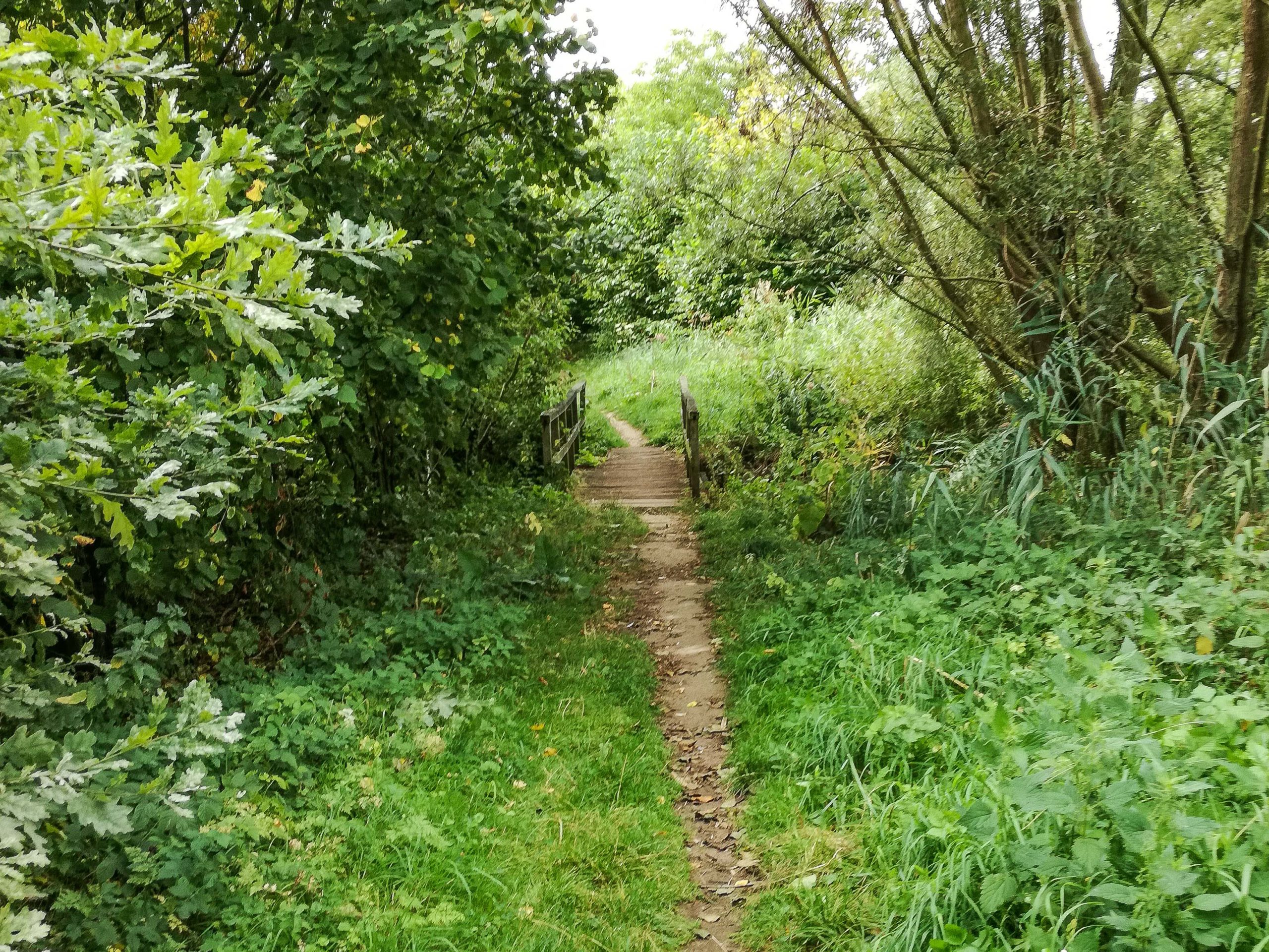 Wandeling door de Bospolder en Muisbroek (5 km of 8,5 km)