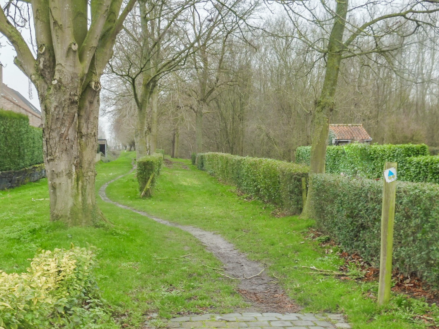 Op ontdekking in Poperinge (5 km of 7,5 km)