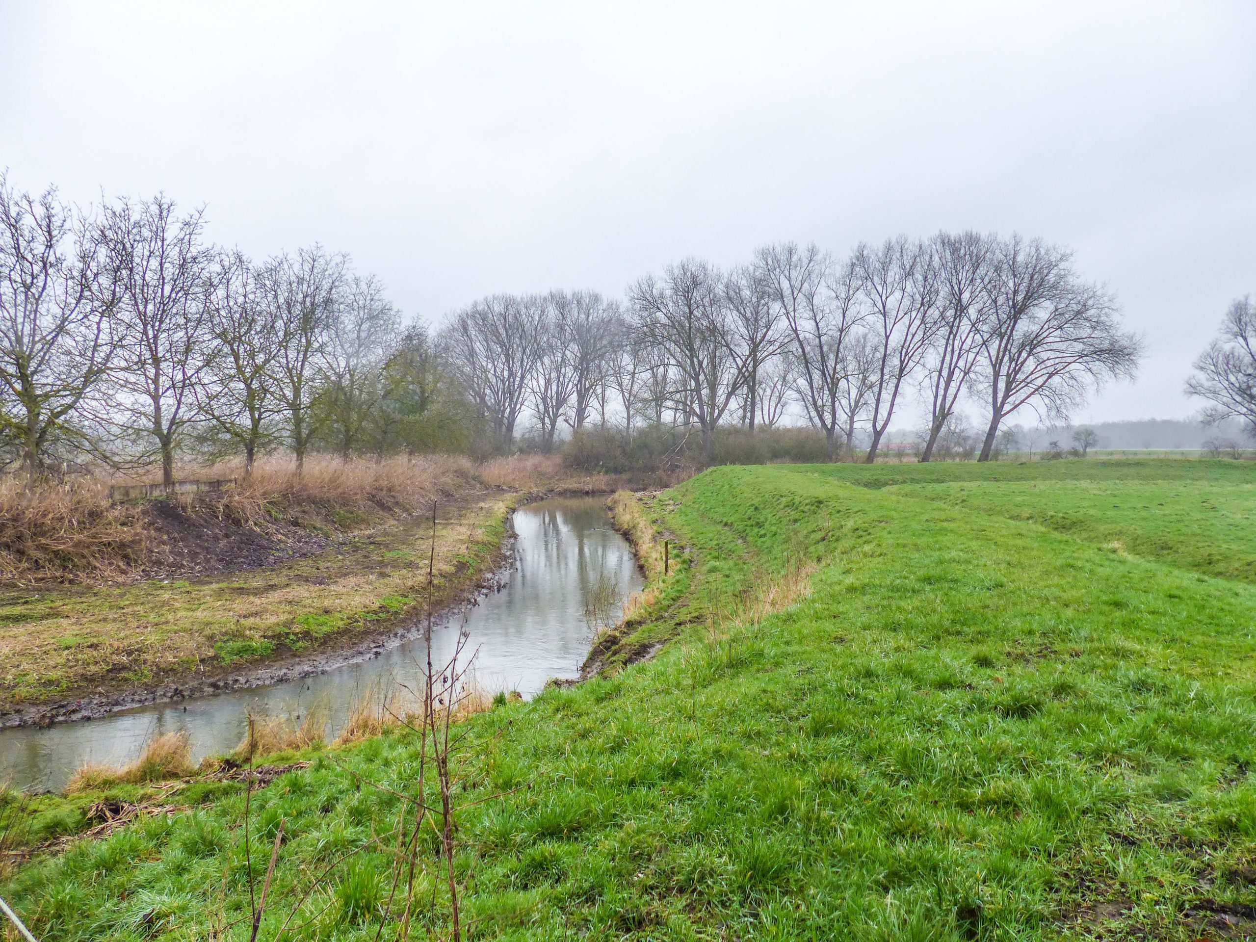 Wandeling langs de Vliet in Eikevliet (7,5 km)