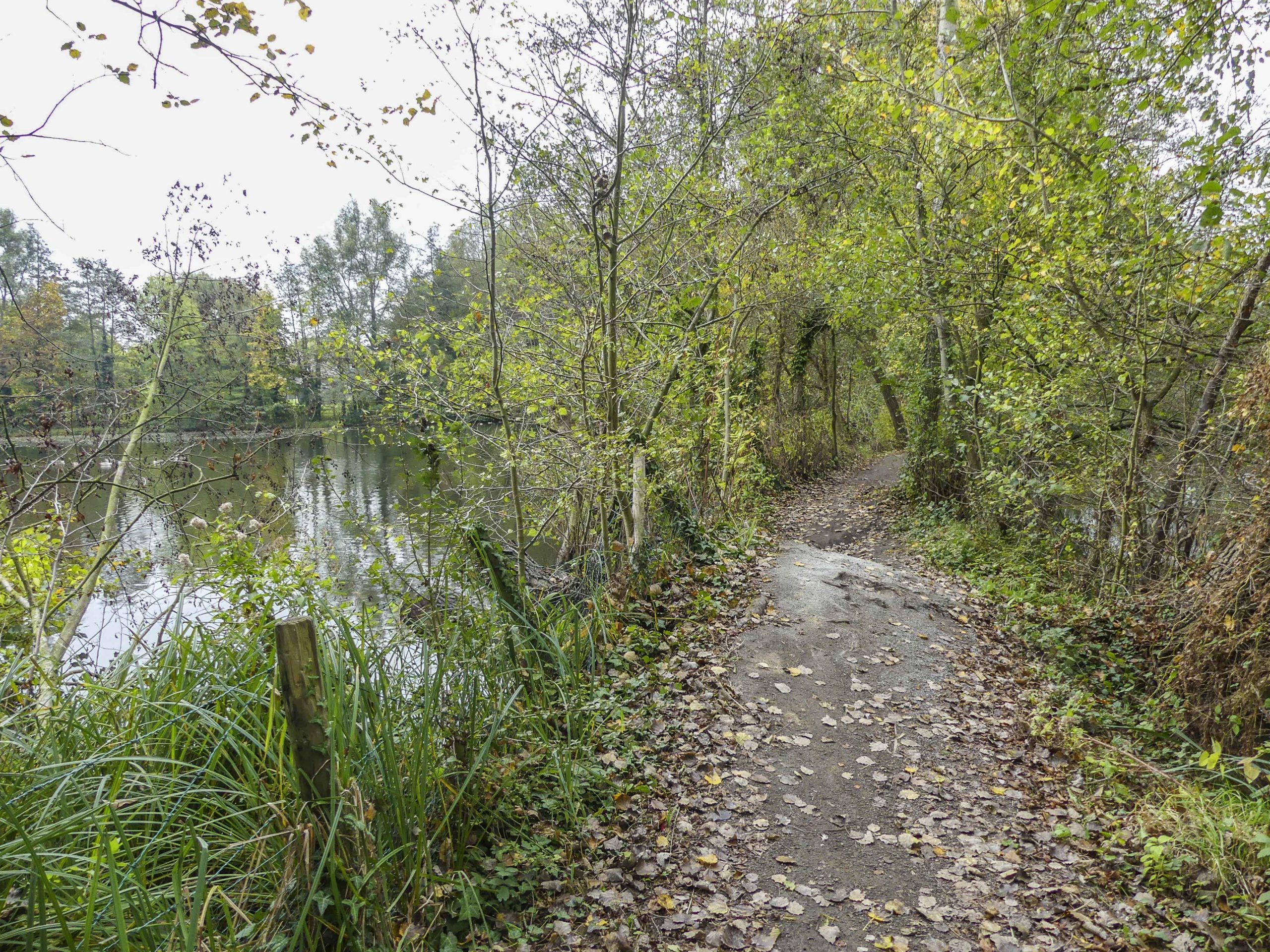 Wandeling doorheen Den Bunt (4,3 of 7,5 km)