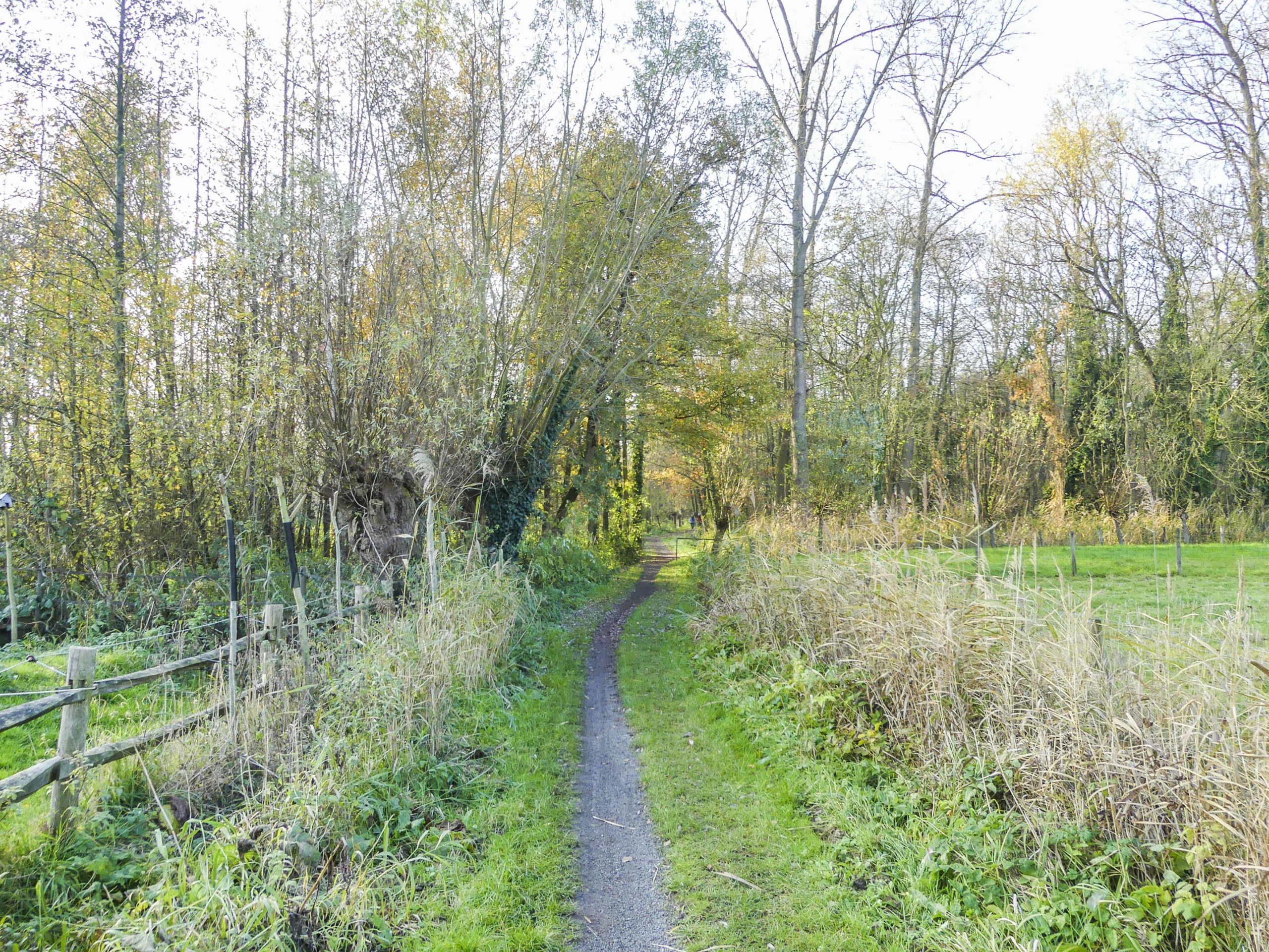 Wandeling Edmond Verstraetenpad (6,5 km)