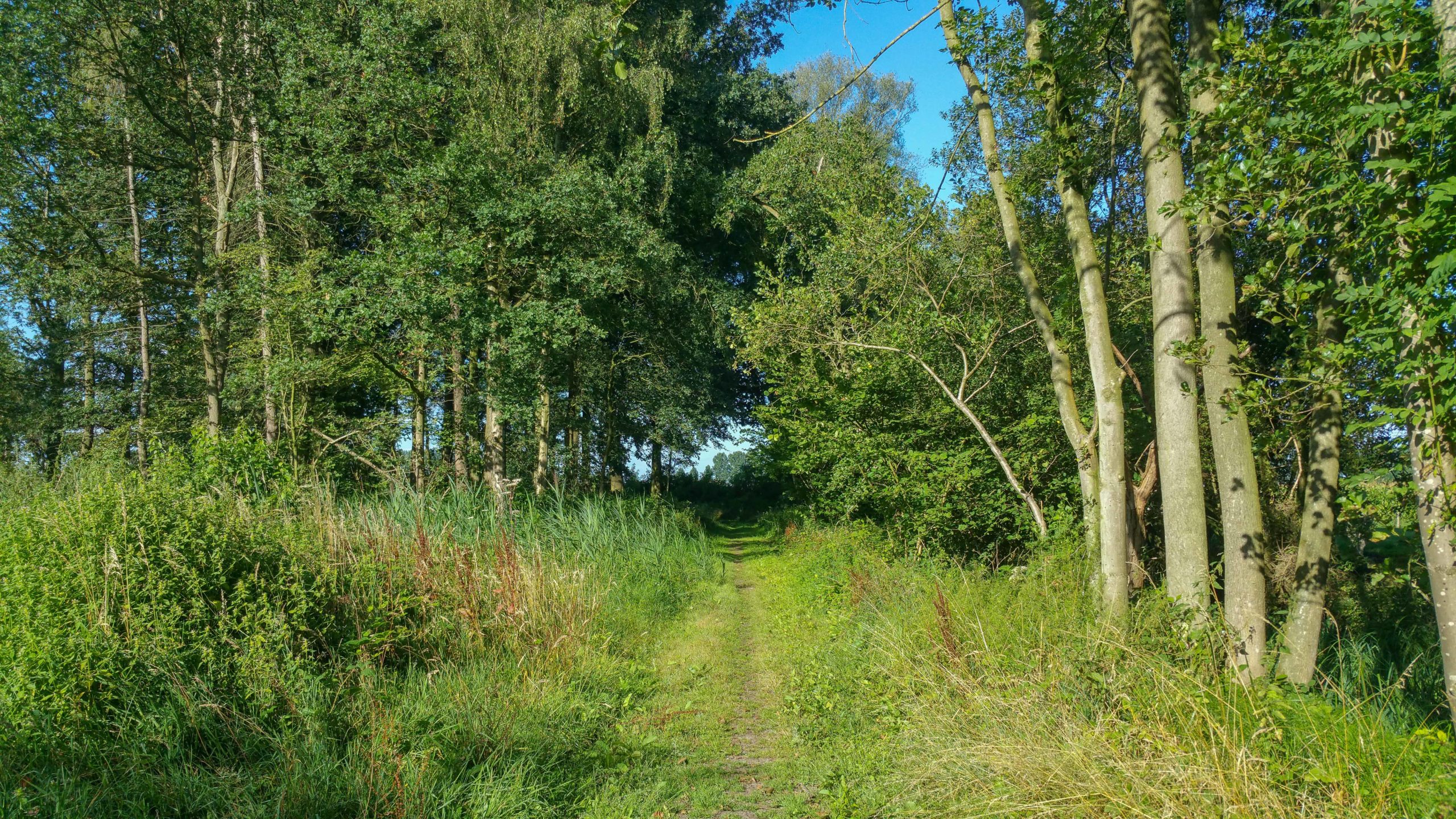 Herdenkingswandeling voor de vrienden van Cyriel Bekaert in Het Leen  (5 of 7 km)