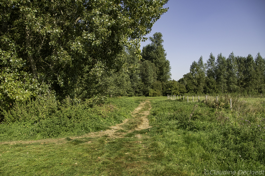 GEANNULEERD!!!Wandeling in de Vinderhoutse bossen en Durmmeersen (8 km)