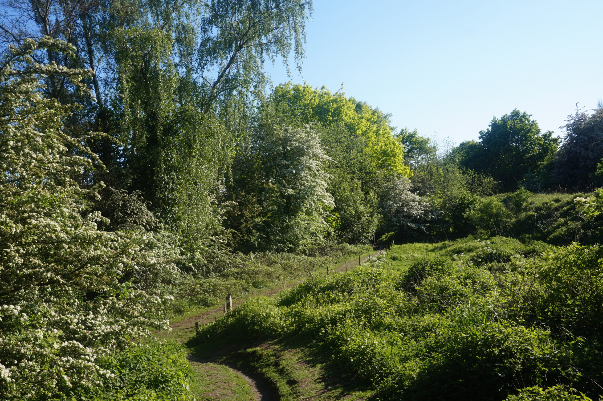 Wandeling doorheen het fort van Mortsel en Klein Zwitserland (6 km)