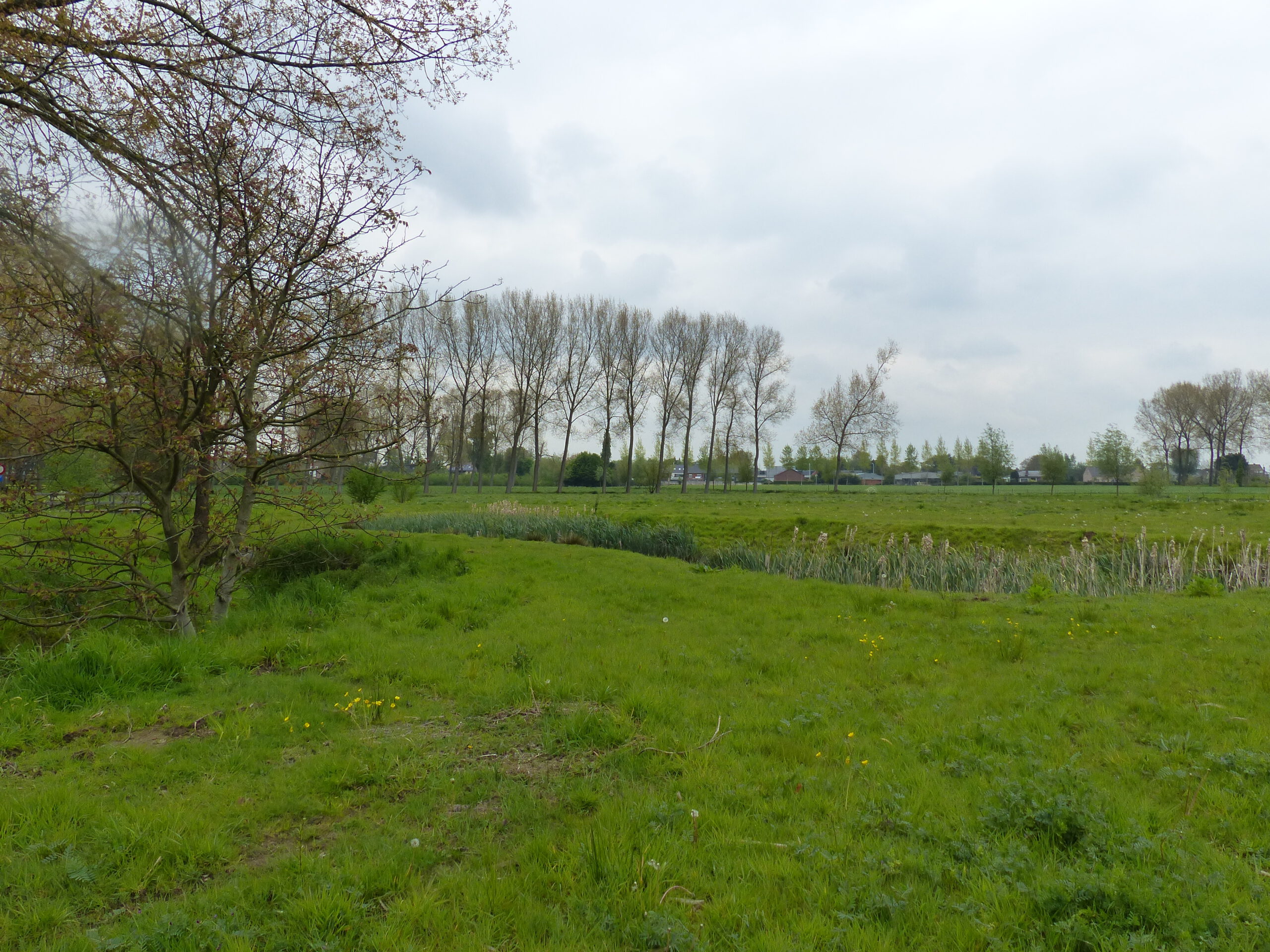 Wandeling doorheen het Molenbeekpark (5,5 km)