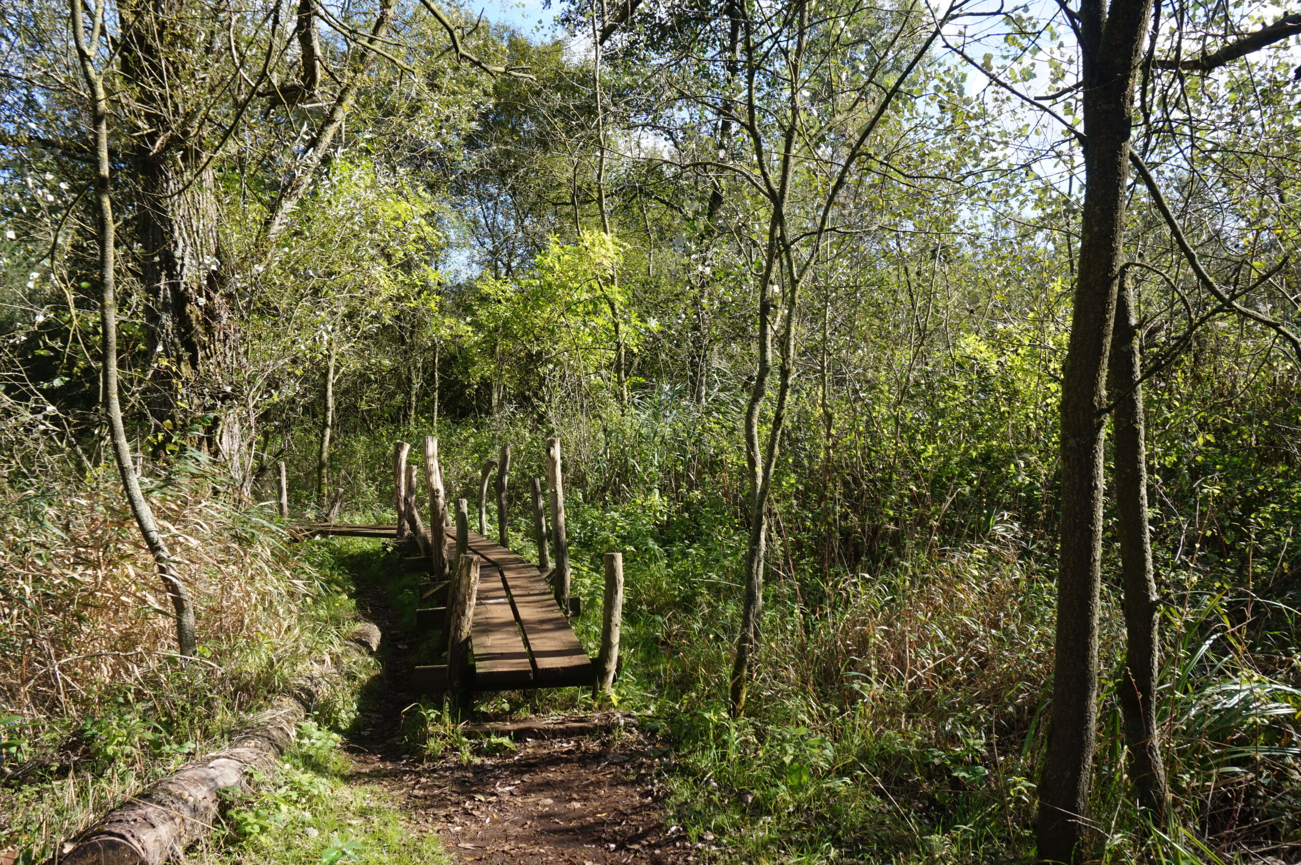 Zandhoven: Wandeling doorheen Lovenhoek (6 km)