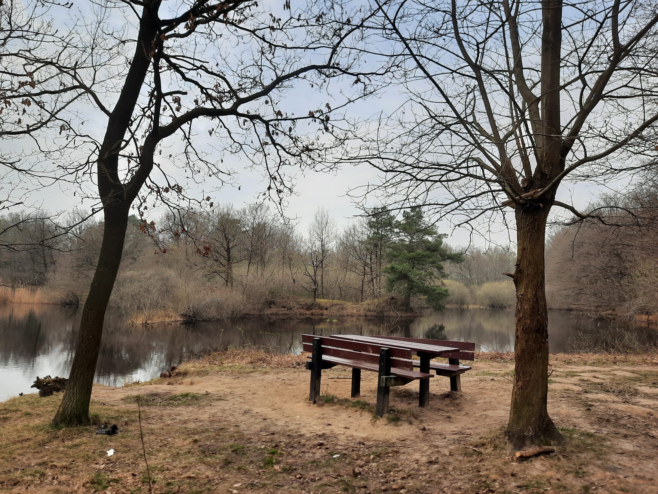 Afgelast wegens wateroverlast. Brecht: Wandeling doorheen de Kooldries en Hoofsweer. (6,5 km)