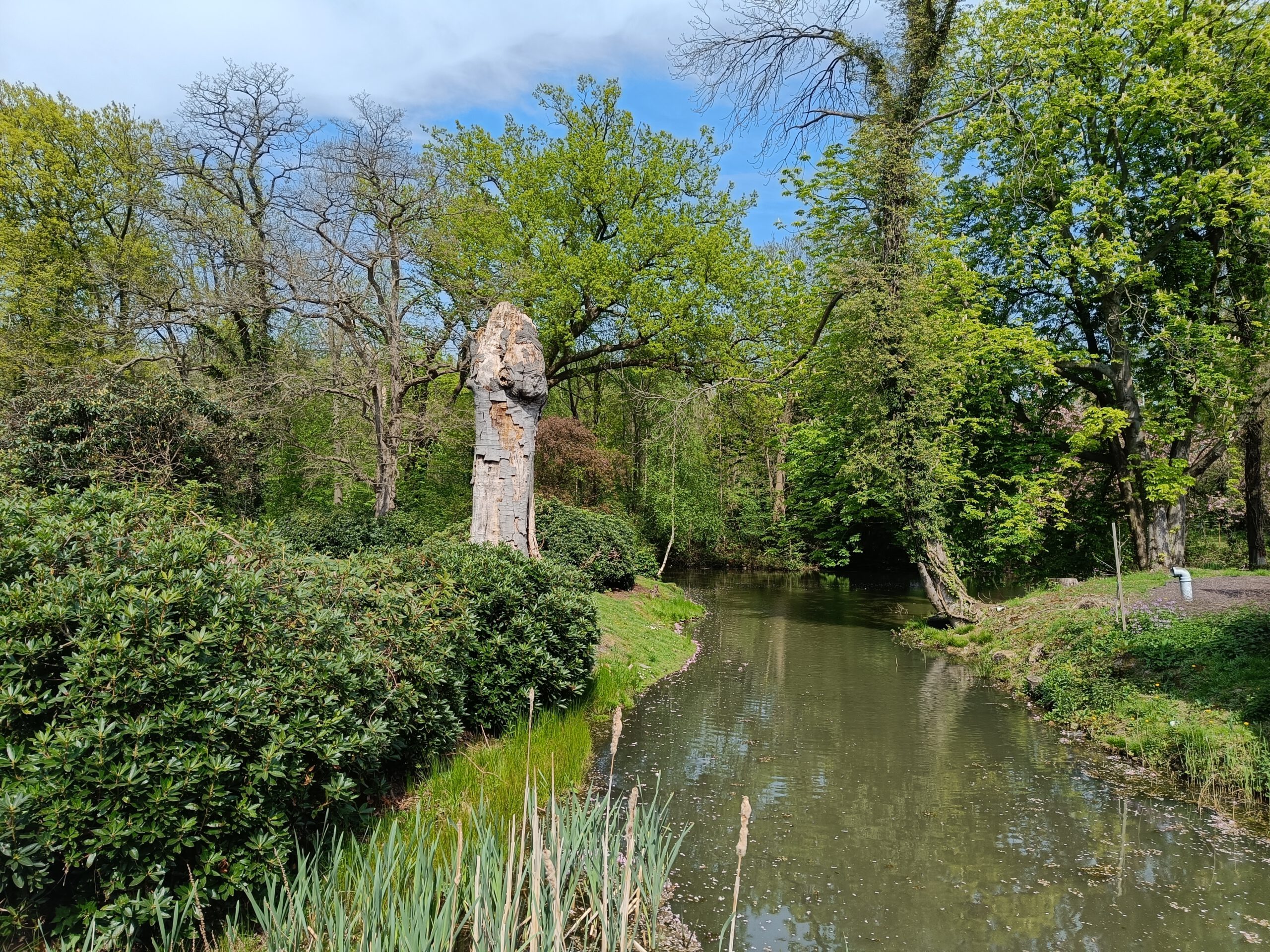 Edegem: wandeling doorheen het Hof ter Linden en het Fort 5. (6 km)