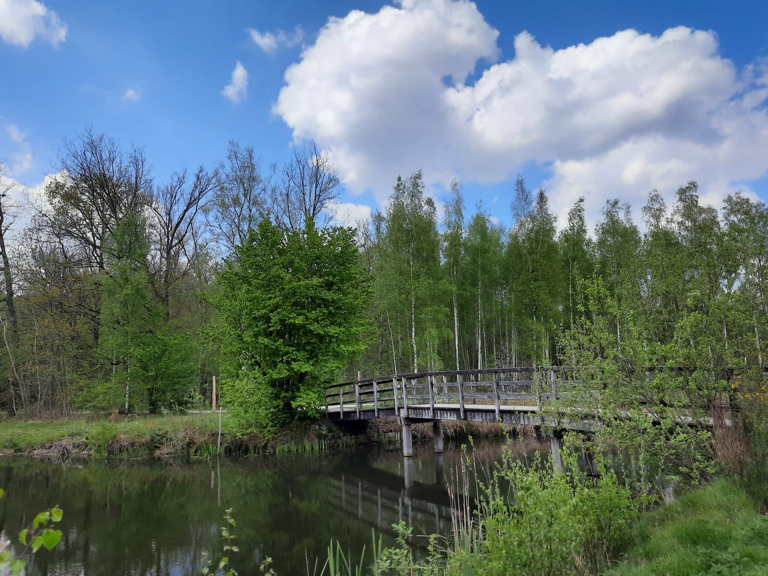 Wandeling doorheen het Vrieselhof en het Fort van Oelegem (6,5 km)