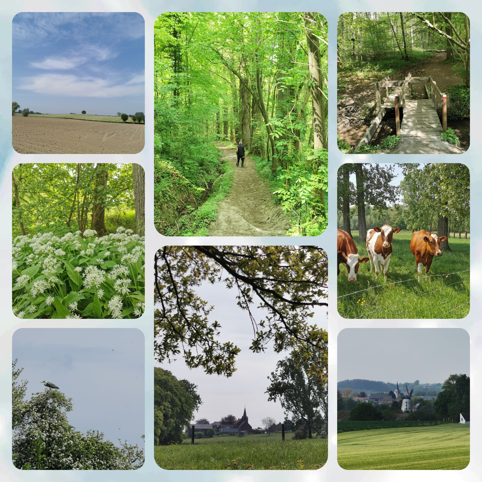 Een prachtige wandeling in en rond  Everbeek- Boven.  8,5 km