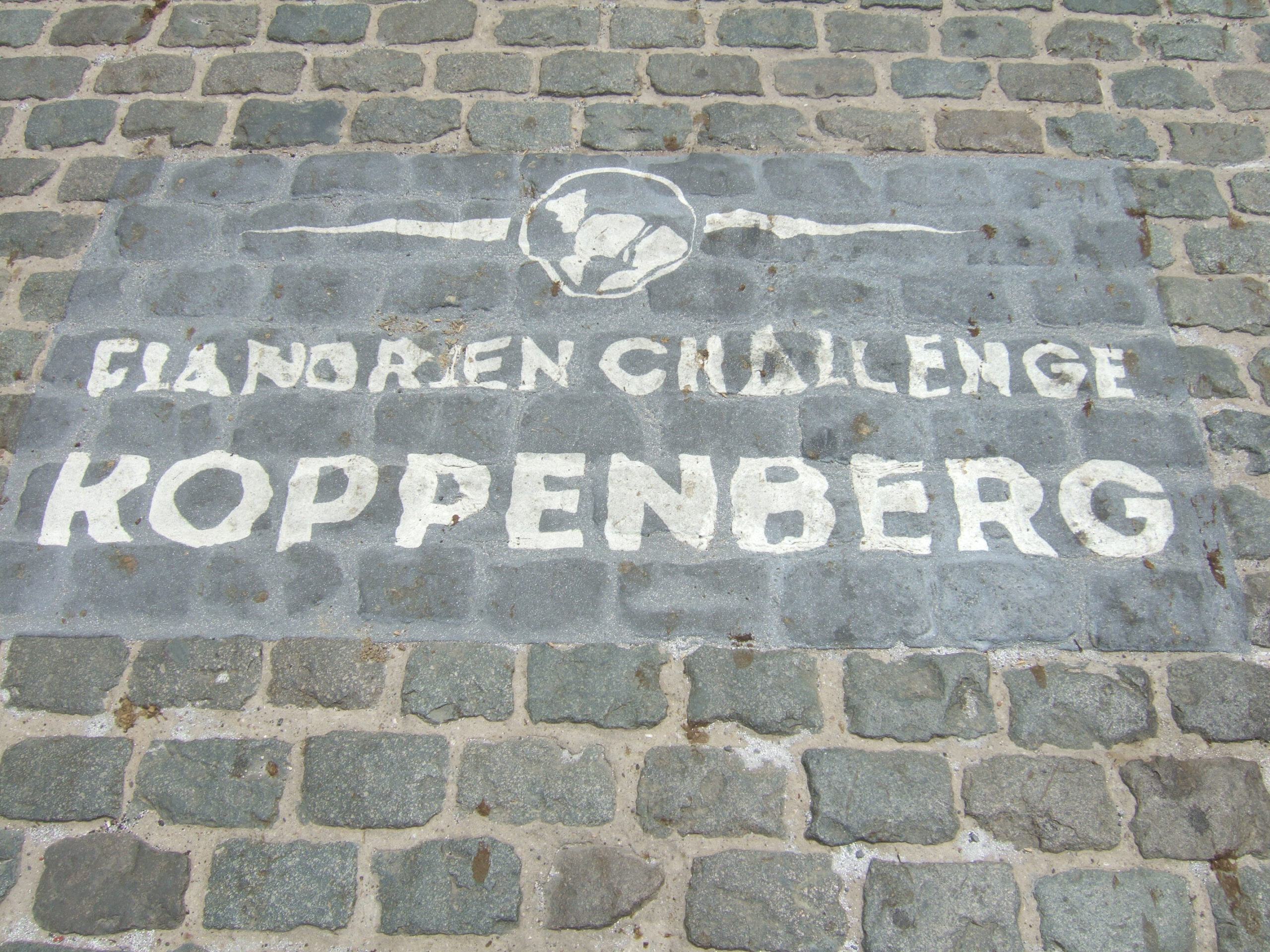 wandeling langs de  Meldense meersen met een klim van de Koppenberg. 10km