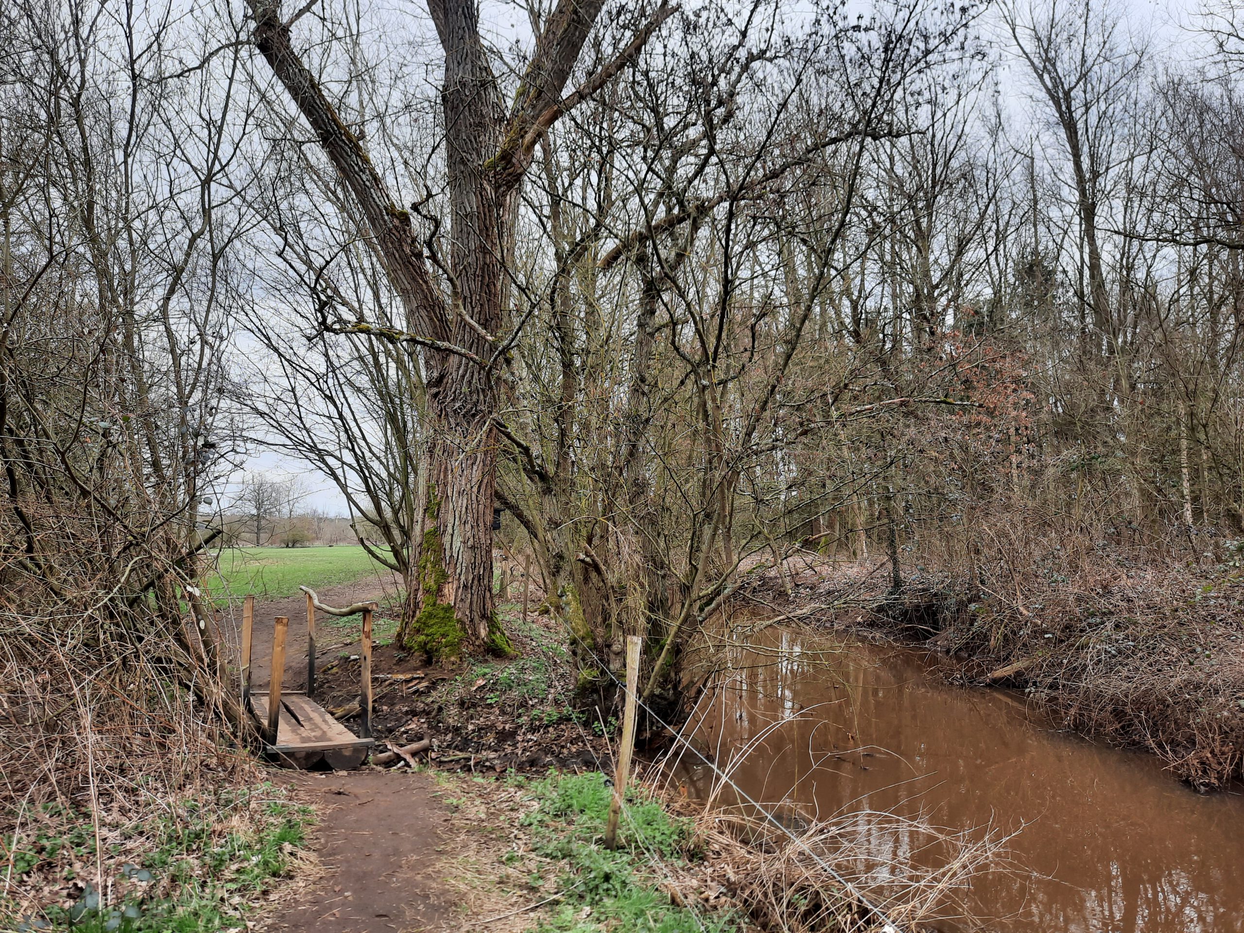 Bonheiden: Wandeling doorheen de Mispeldonk en langs de Dijle (6,5 km)